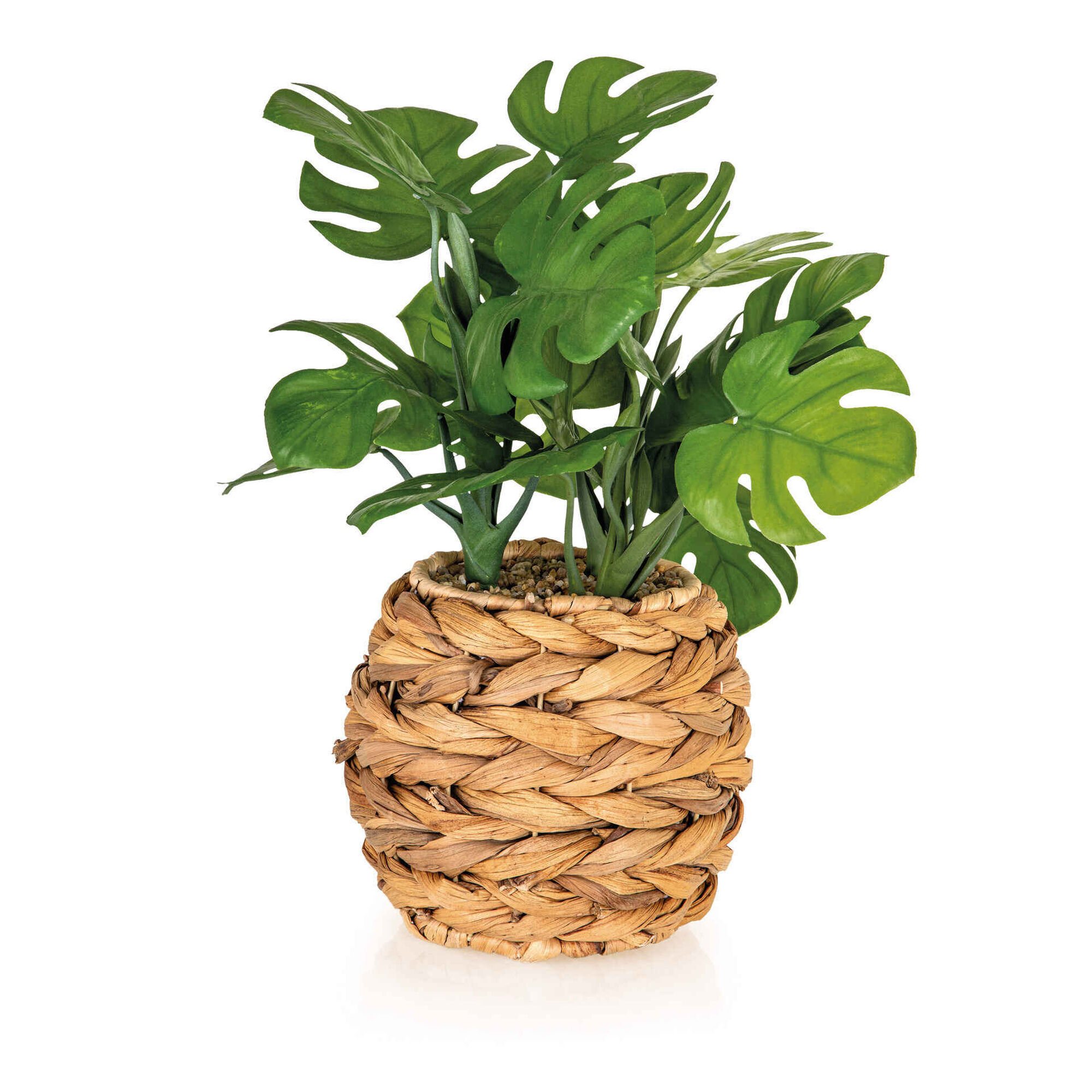 Vaso Seagrass com Planta Artificial Monstera