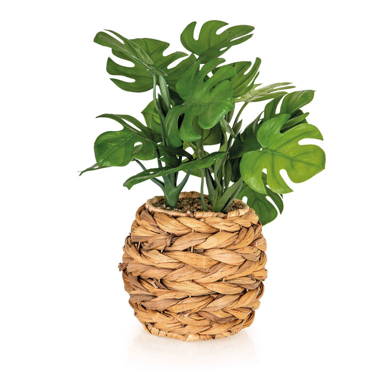 Vaso Seagrass com Planta Artificial Monstera Kasa