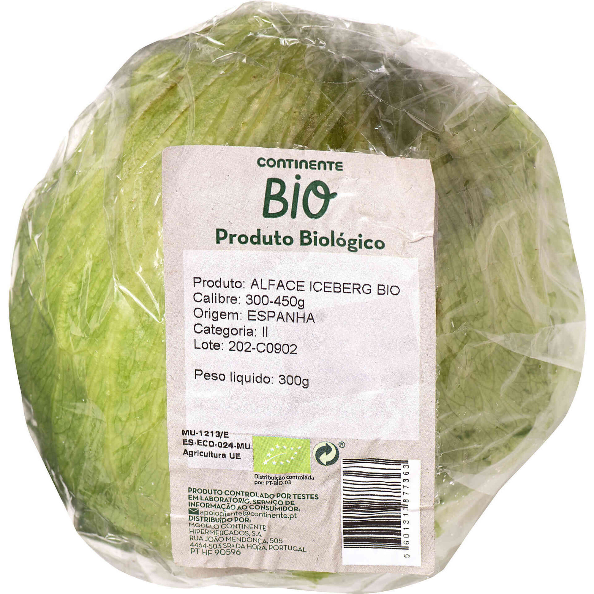 Alface Iceberg Biológica Alface Iceberg Biológica