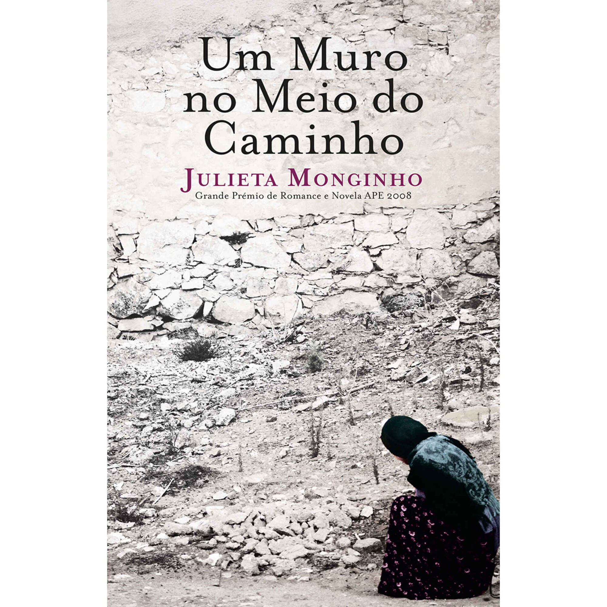 Um Muro no Meio do Caminho de Julieta Monginho