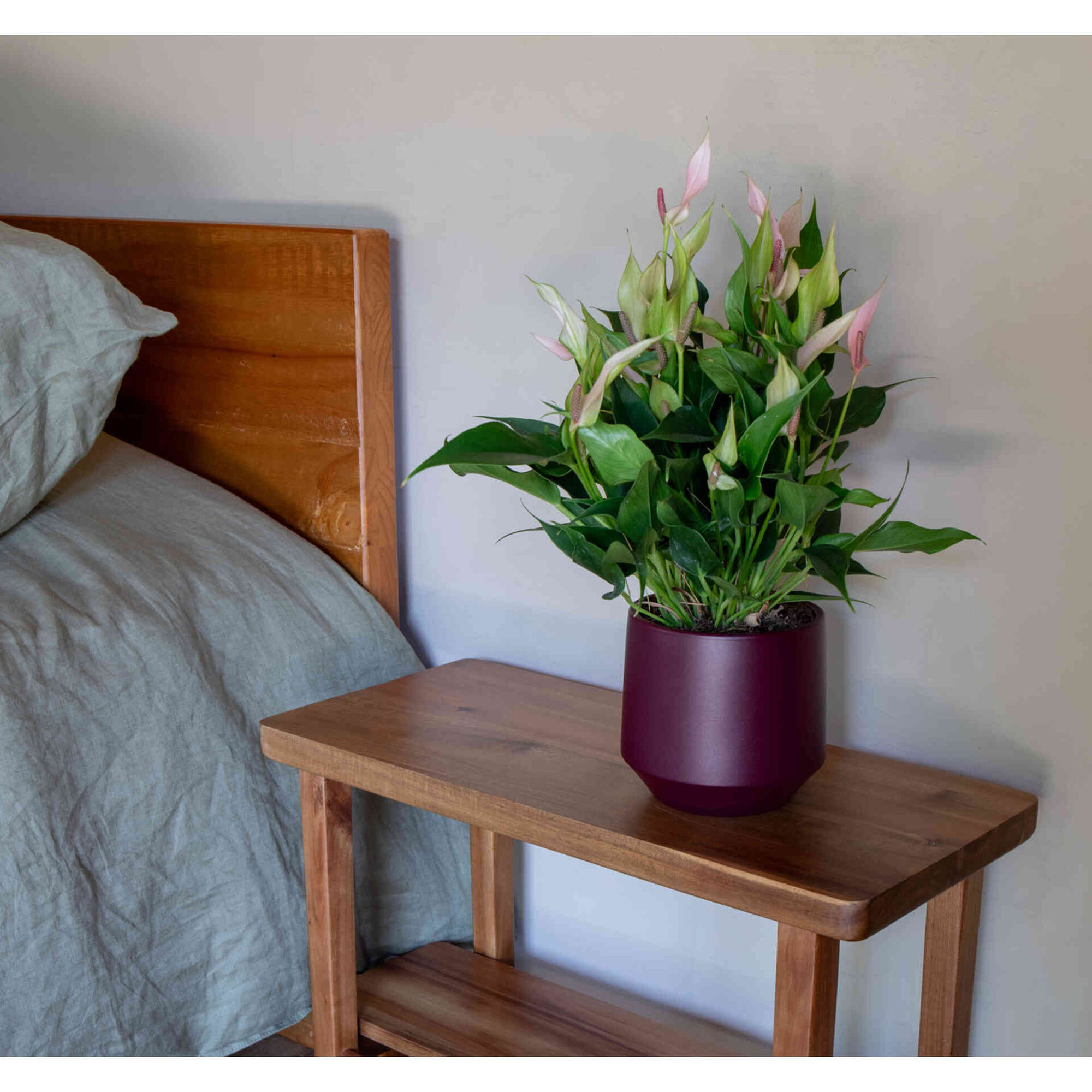 Vaso Redondo Faiança 17cm Branco