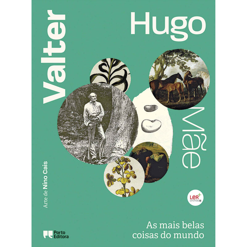 As Mais Belas Coisas do Mundo de Valter Hugo Mãe