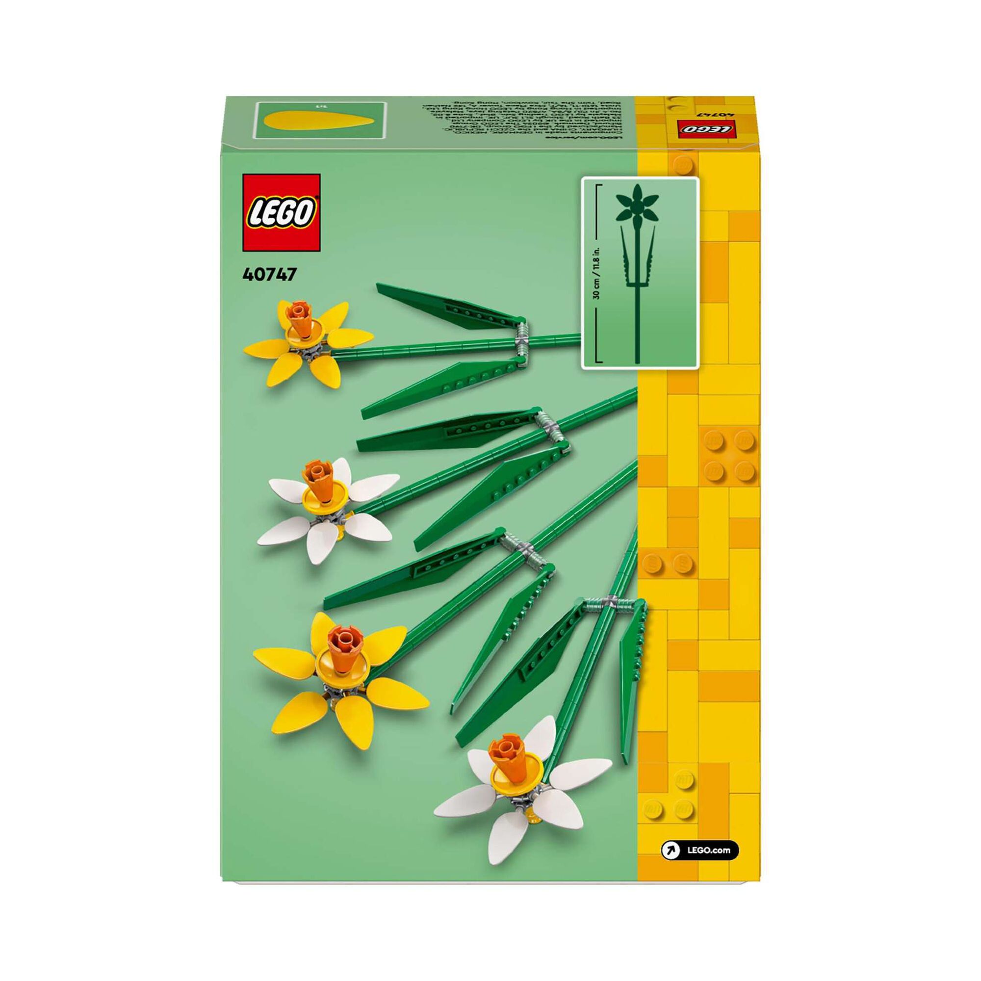 Narcisos - 40747