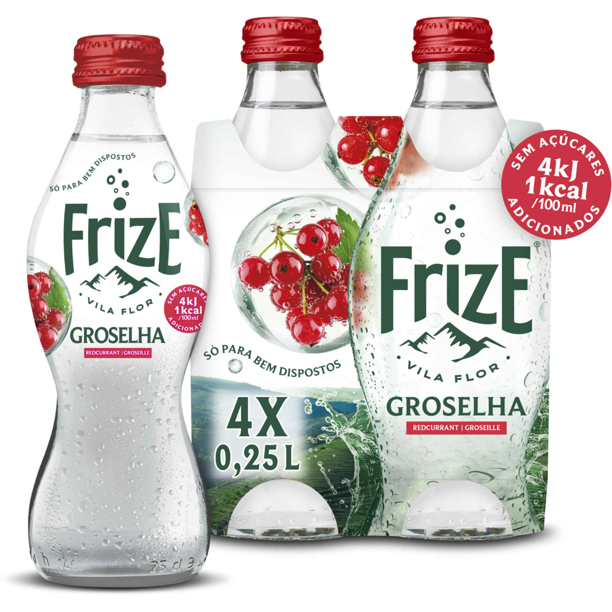 &Aacute;gua com G&aacute;s Groselha Frize