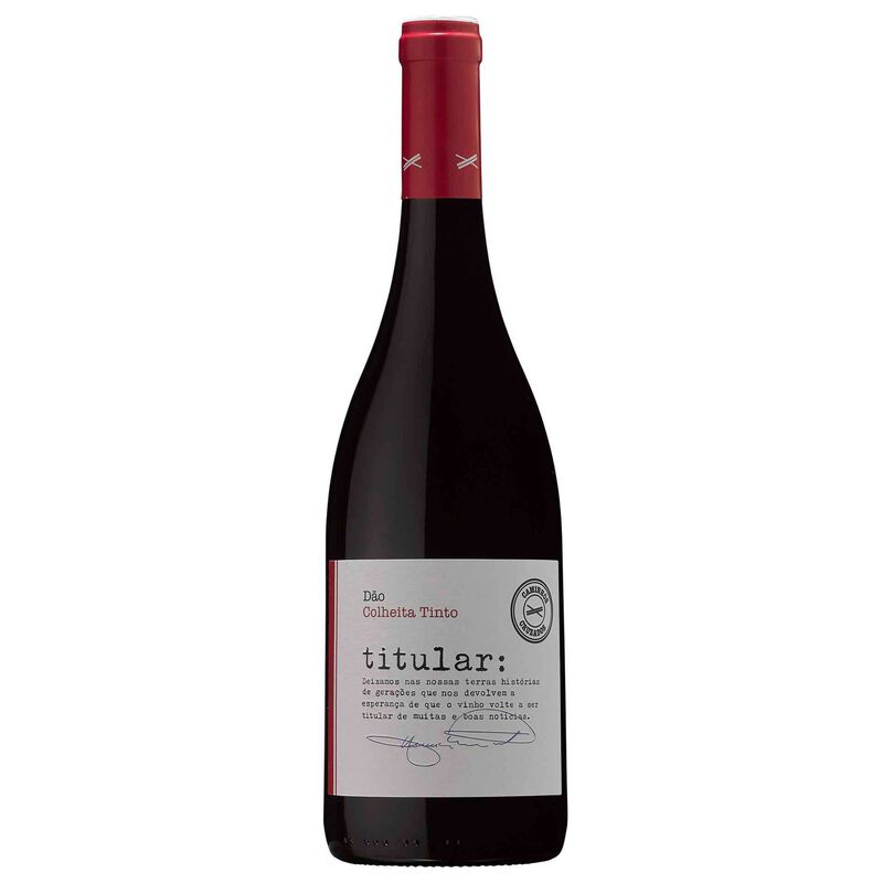 Titular Colheita Dão Vinho Tinto