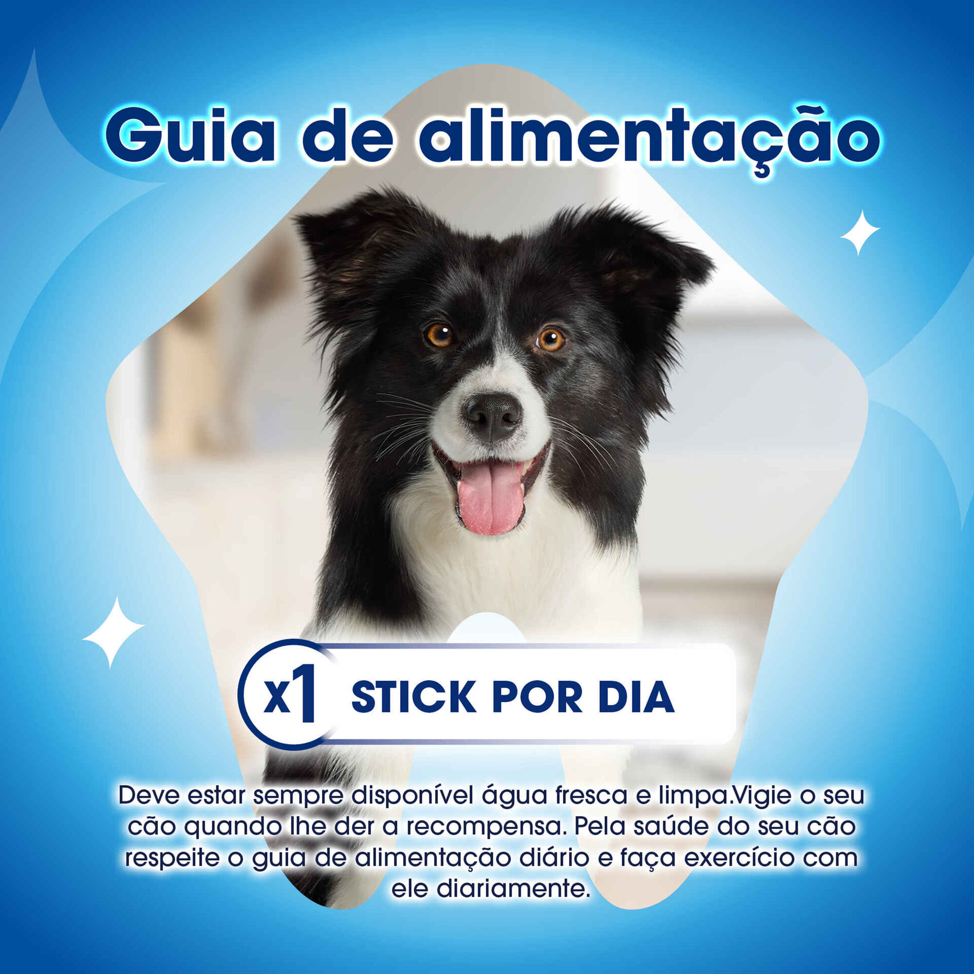 Snack para Cão Pequeno