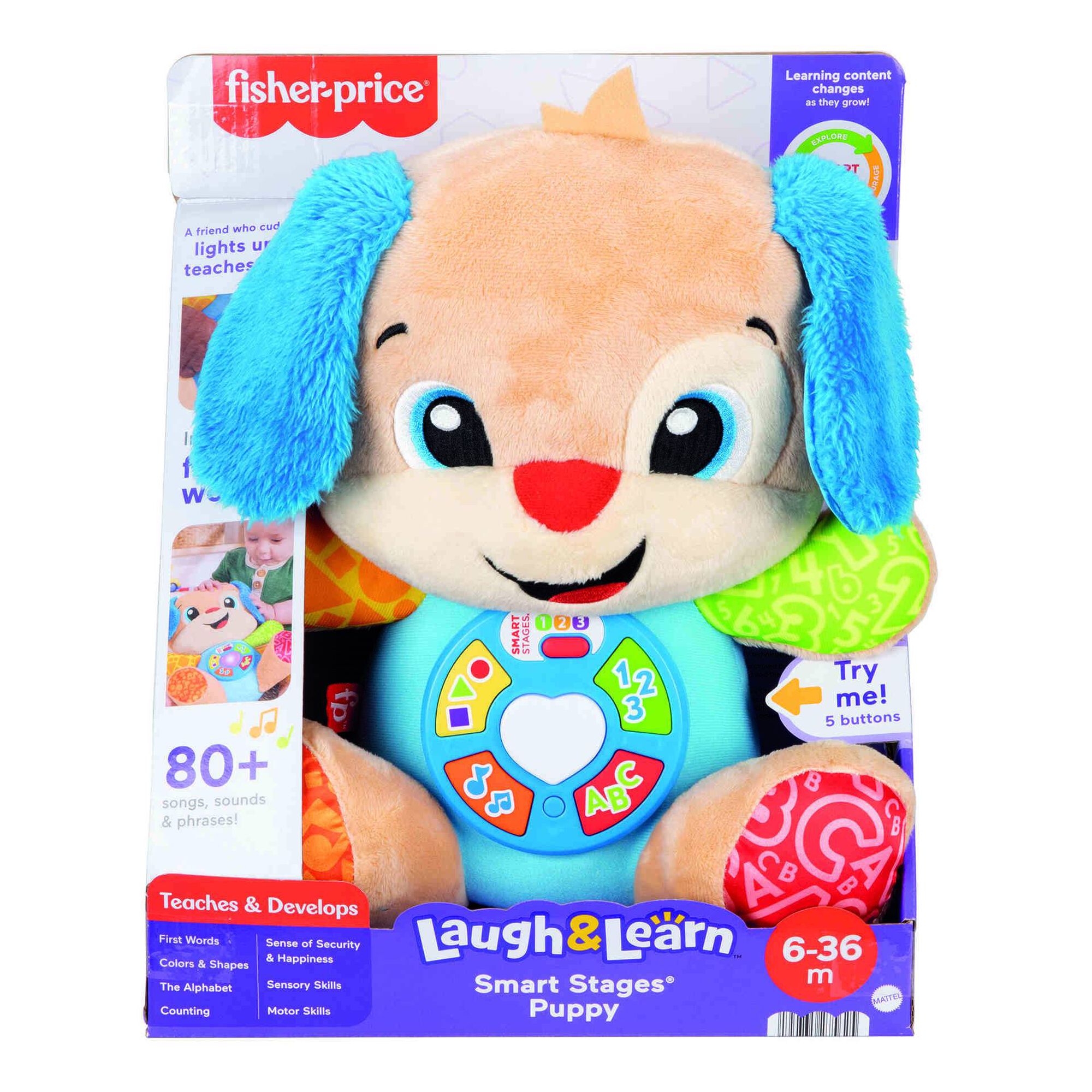 Cãozinho Aprender e Brincar