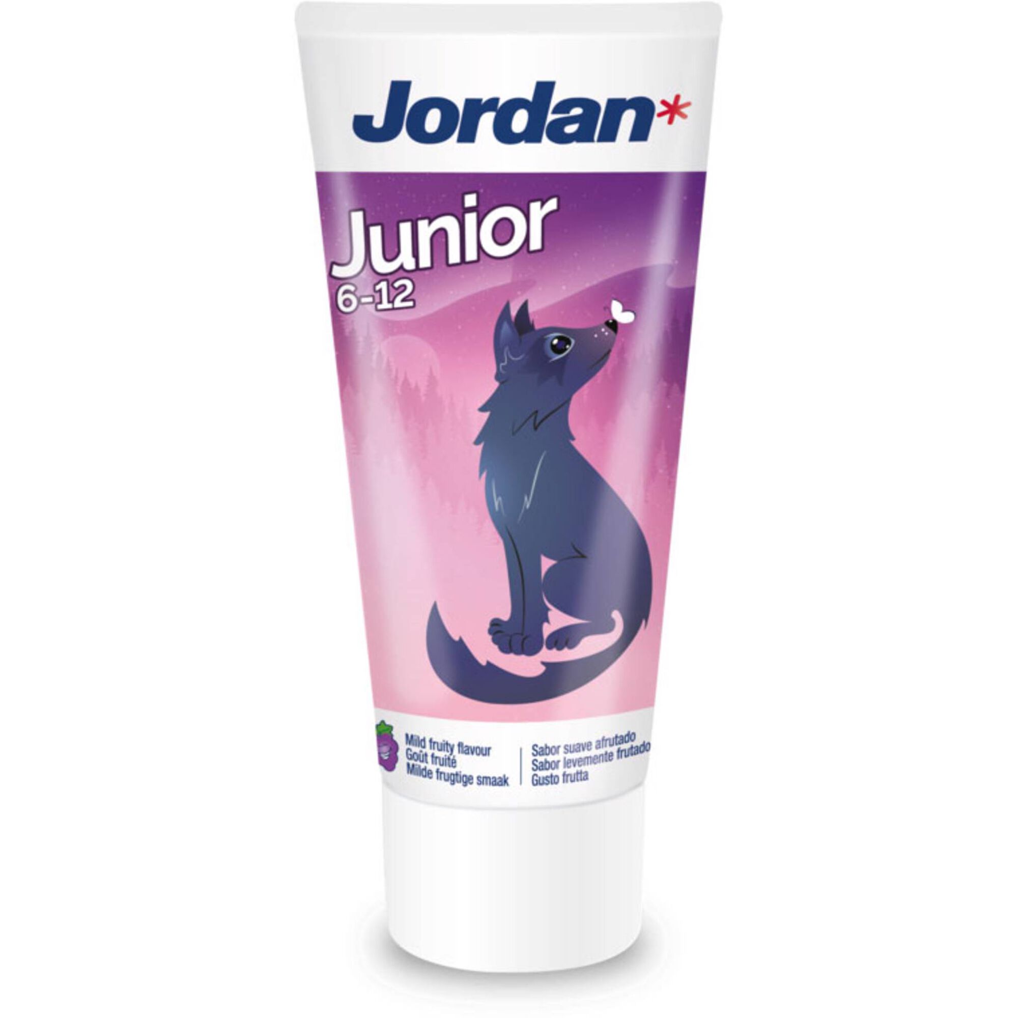 Pasta de Dentes Júnior 6 a 12 Anos