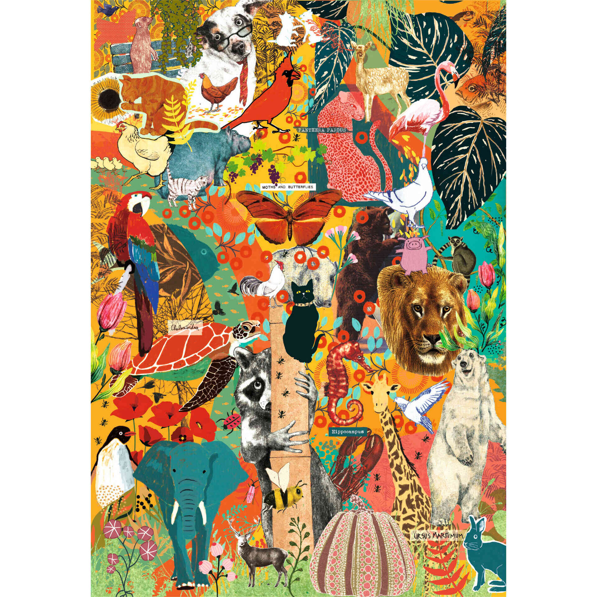 Puzzle More is More 1000 Peças (vários modelos)