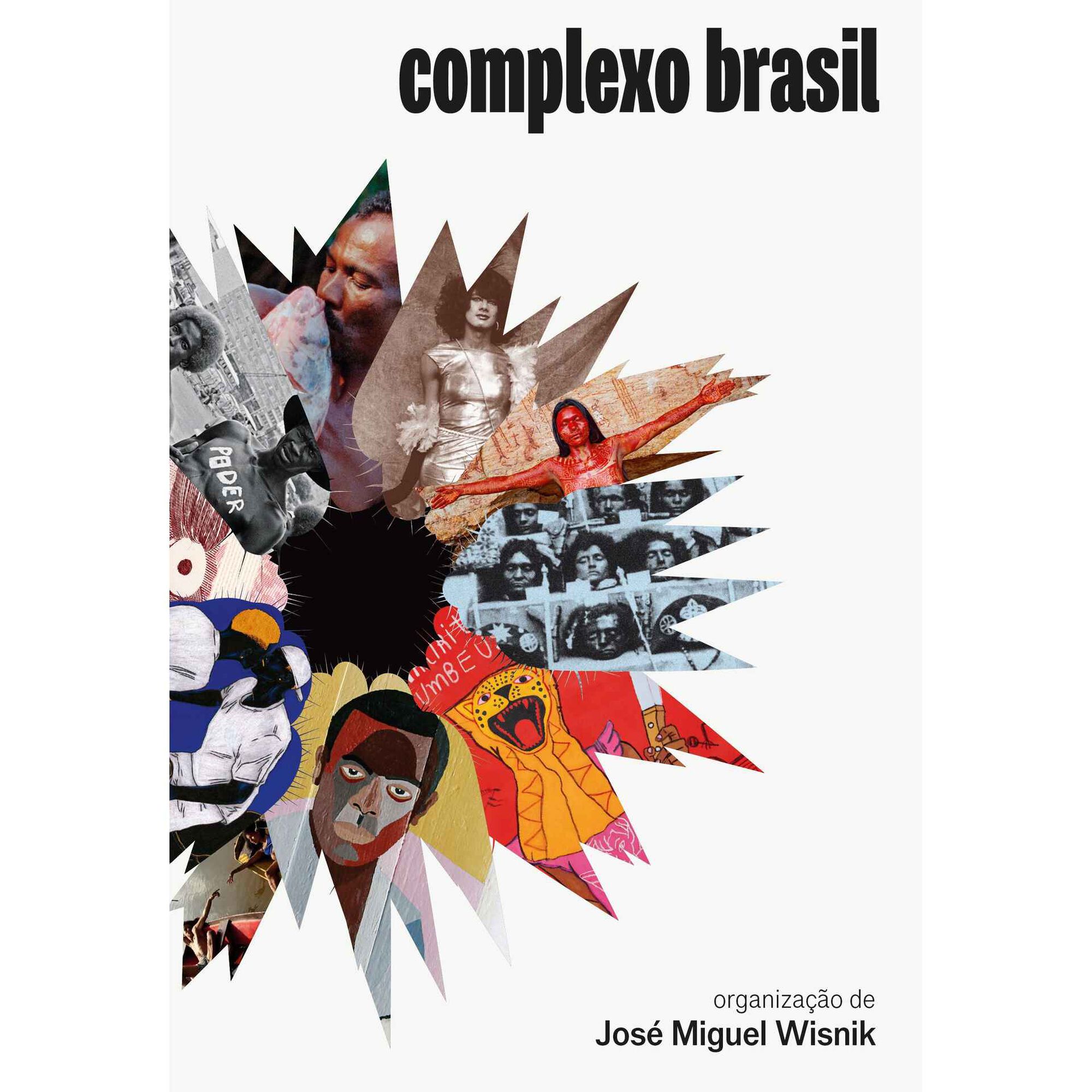 Complexo Brasil de Jos&eacute; Miguel Wisnik