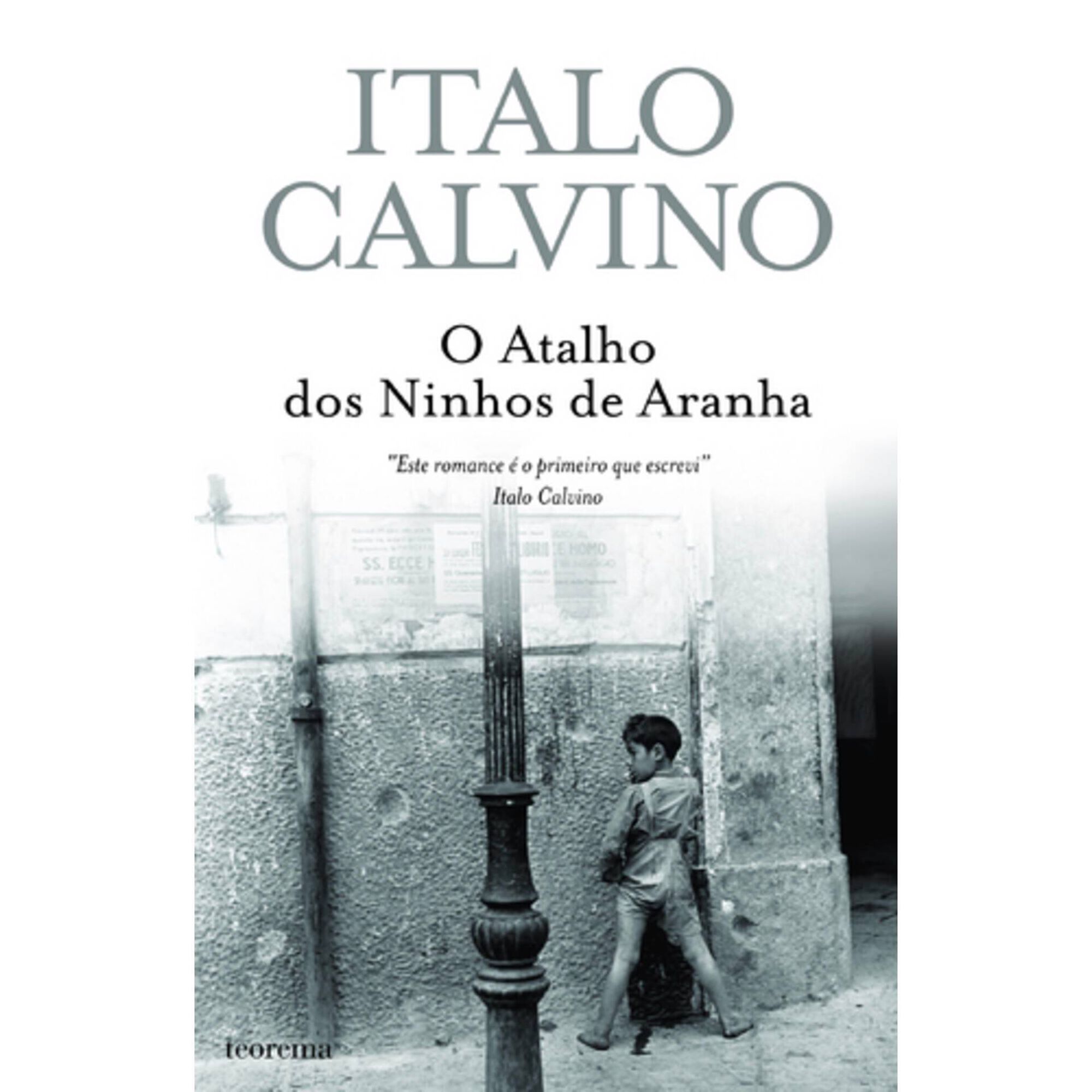 O Atalho dos Ninhos de Aranha de Italo Calvino