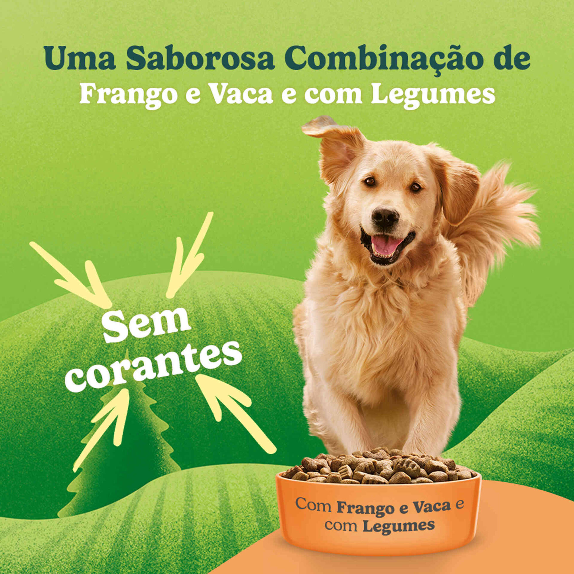 Ra&ccedil;&atilde;o para C&atilde;o Adulto Frango Balance Purina Friskies