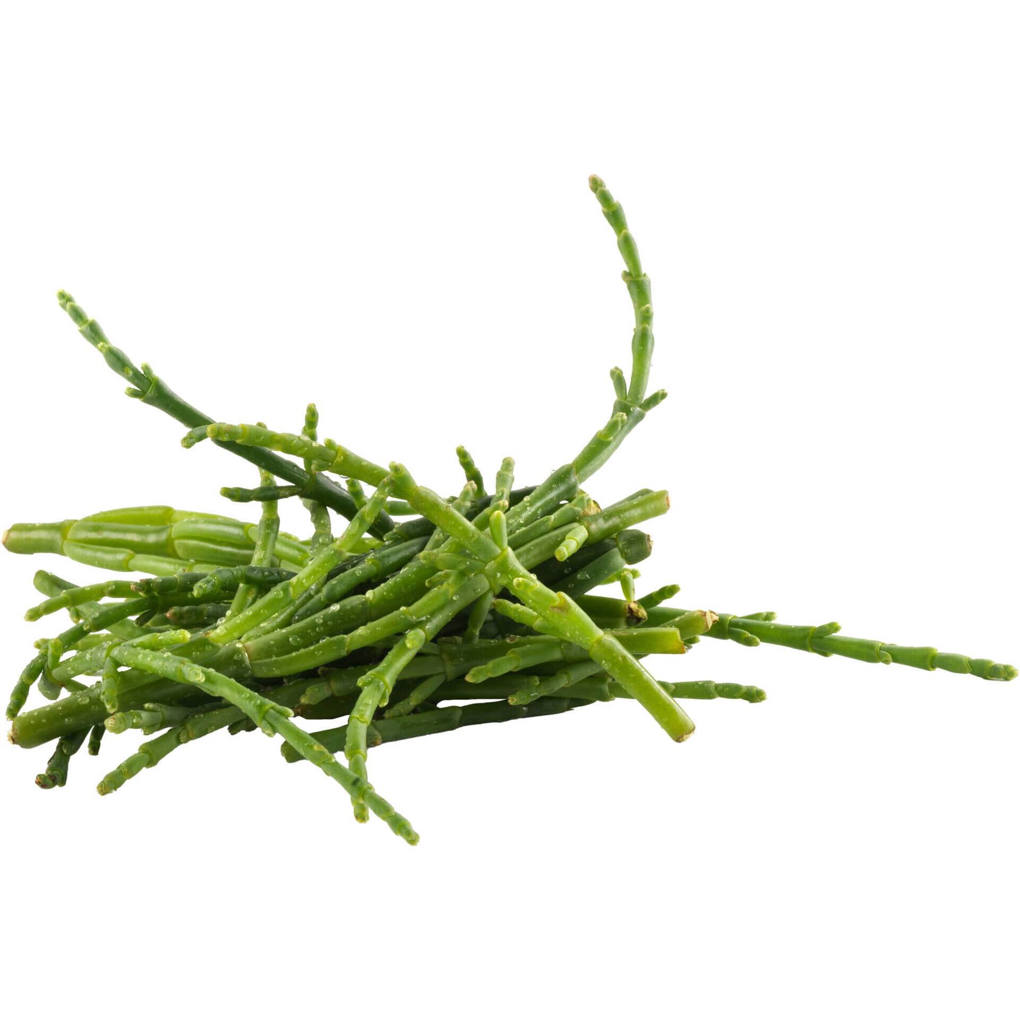 Salicórnia Crunchy Biológica