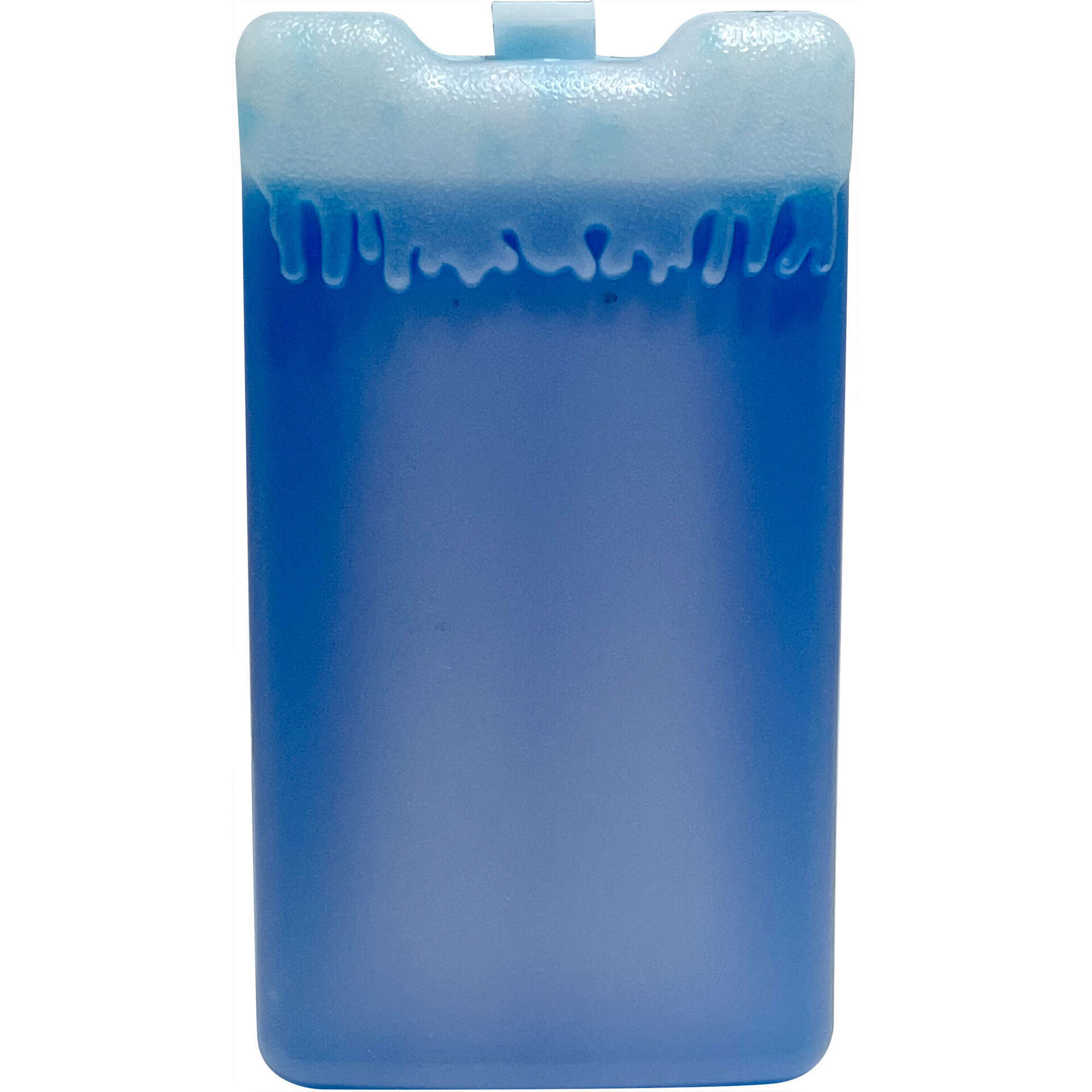 Termoacumulador T&eacute;rmico 2x450g Kasa