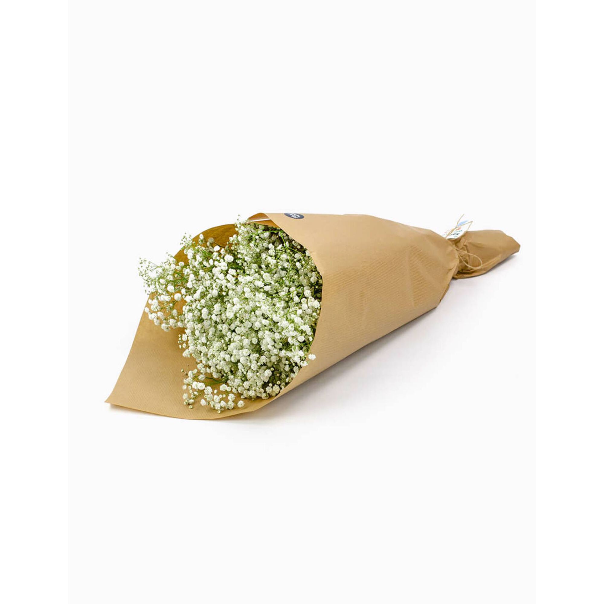 Molho de 10 Gypsophila Brancos