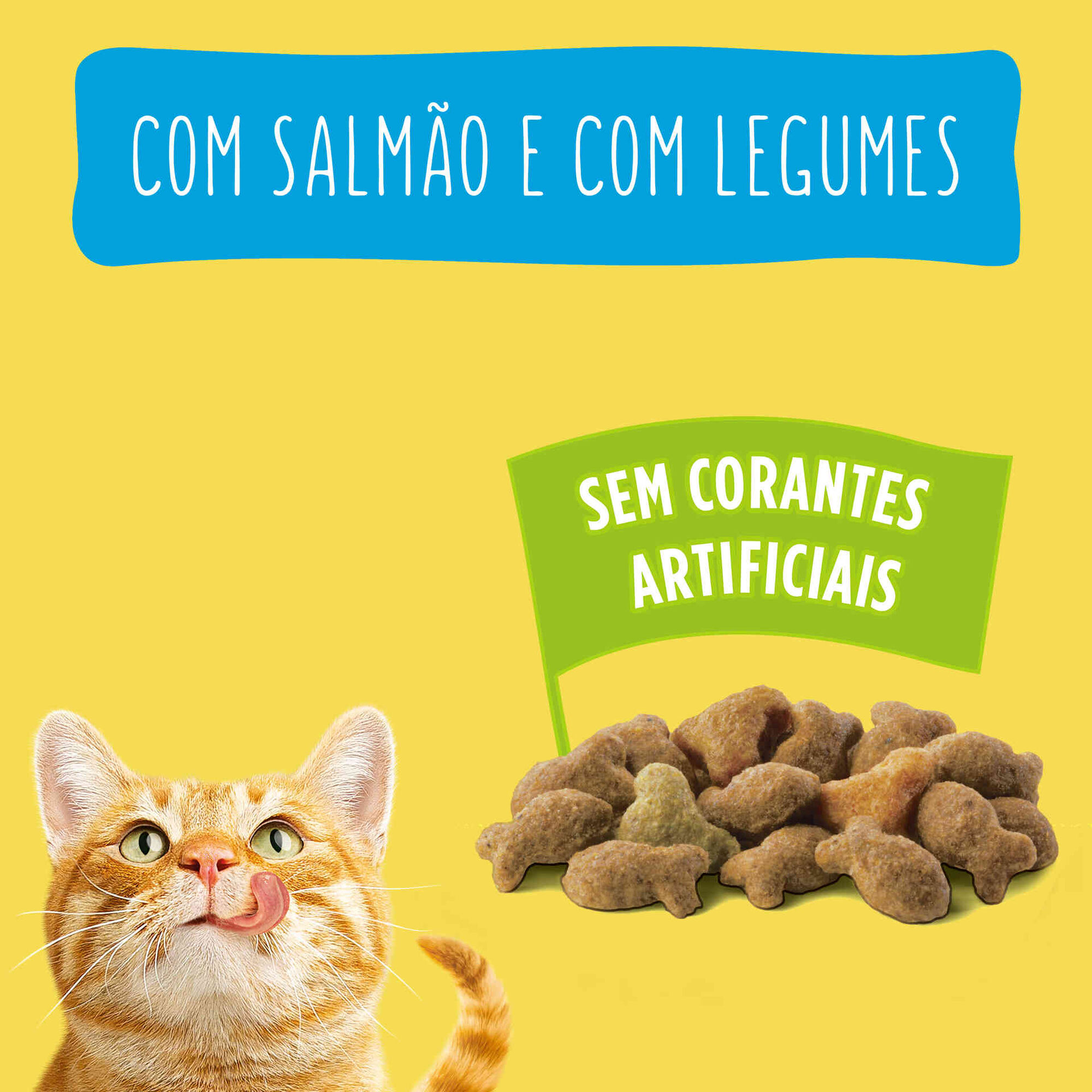 Ra&ccedil;&atilde;o para Gato Adulto Salm&atilde;o Purina Friskies