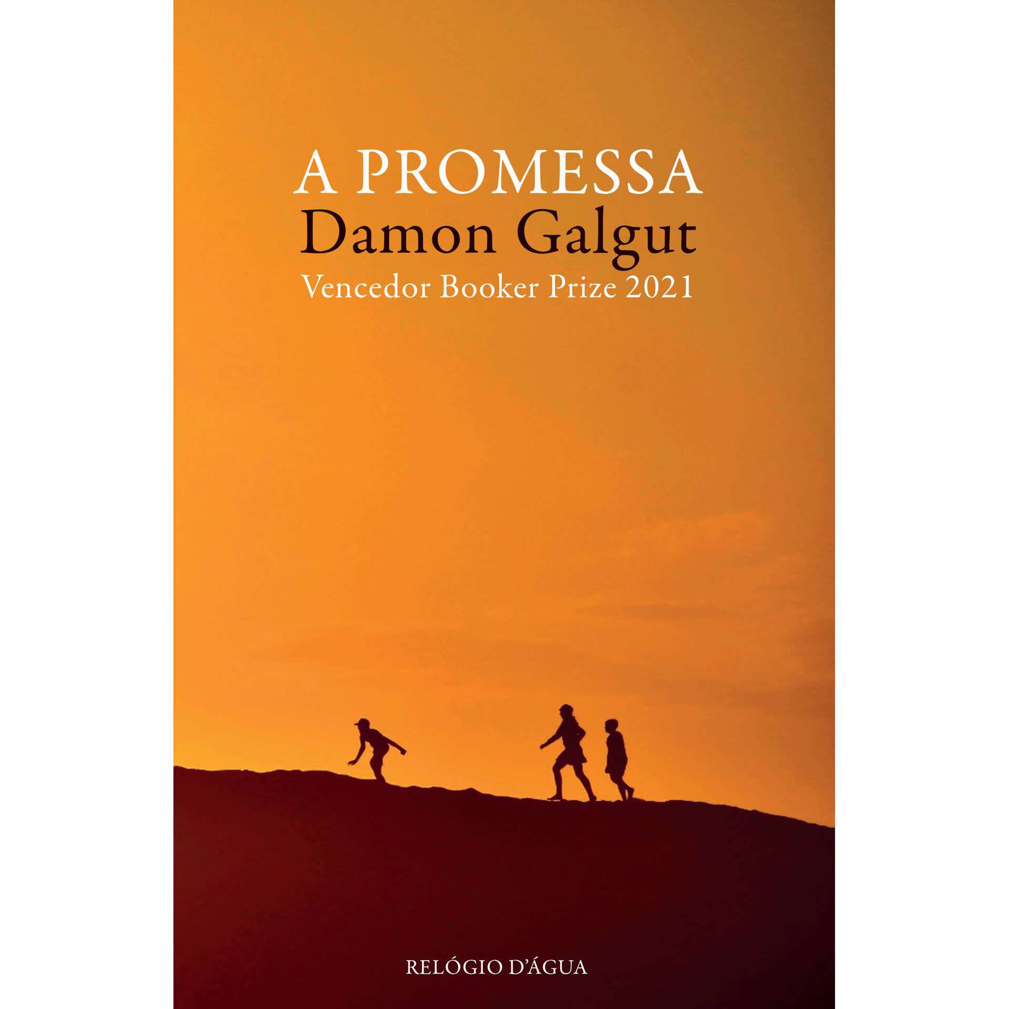 A Promessa de Damon Galgut