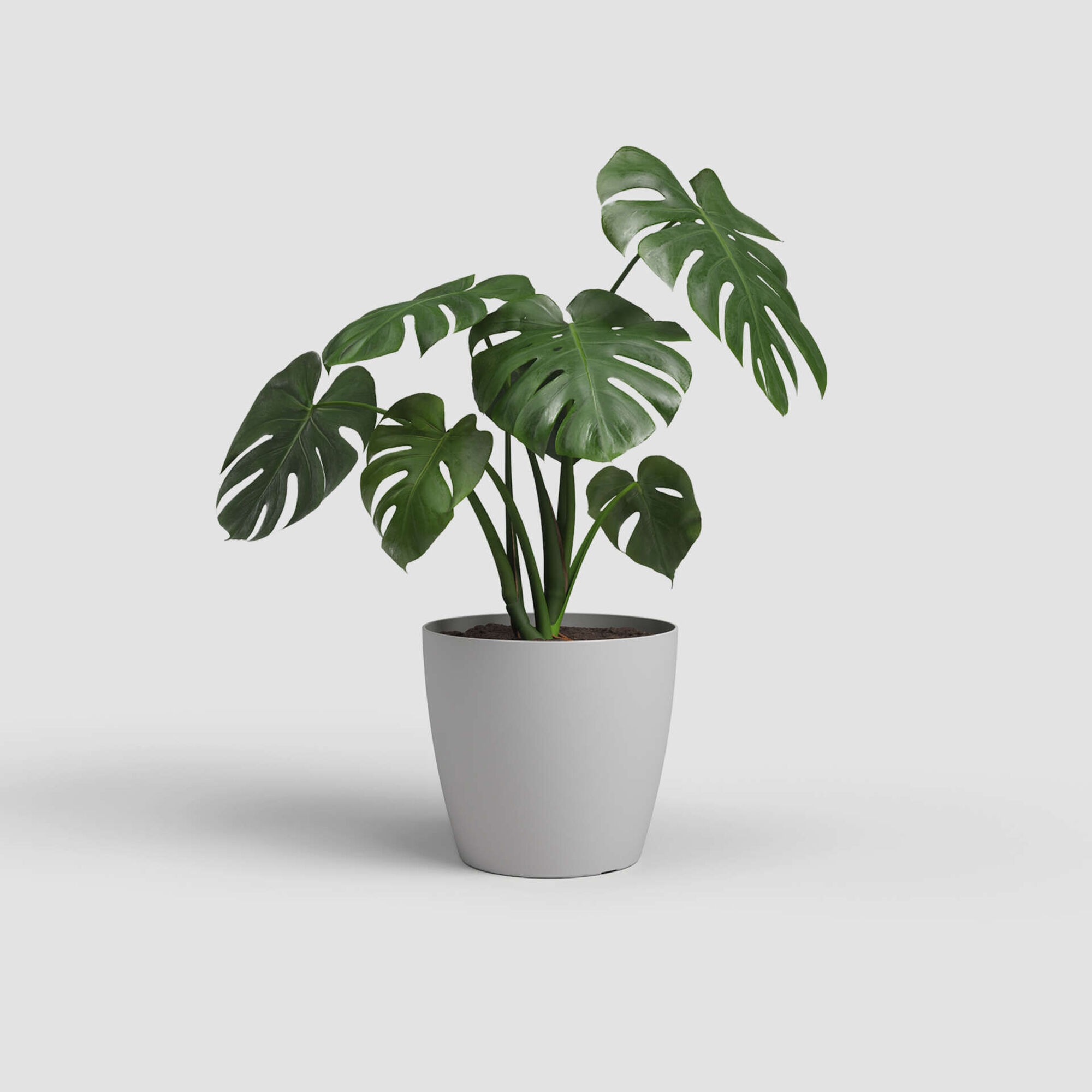 Vaso Redondo Plástico 12cm Cinza Claro