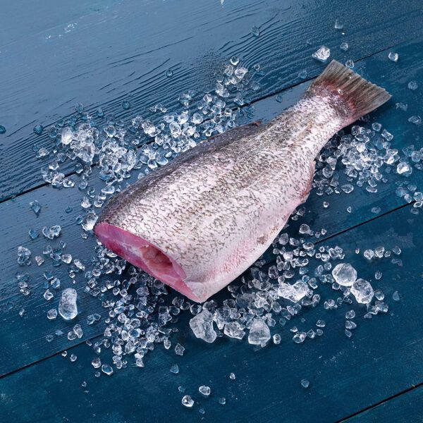 Perca do Nilo Fresca