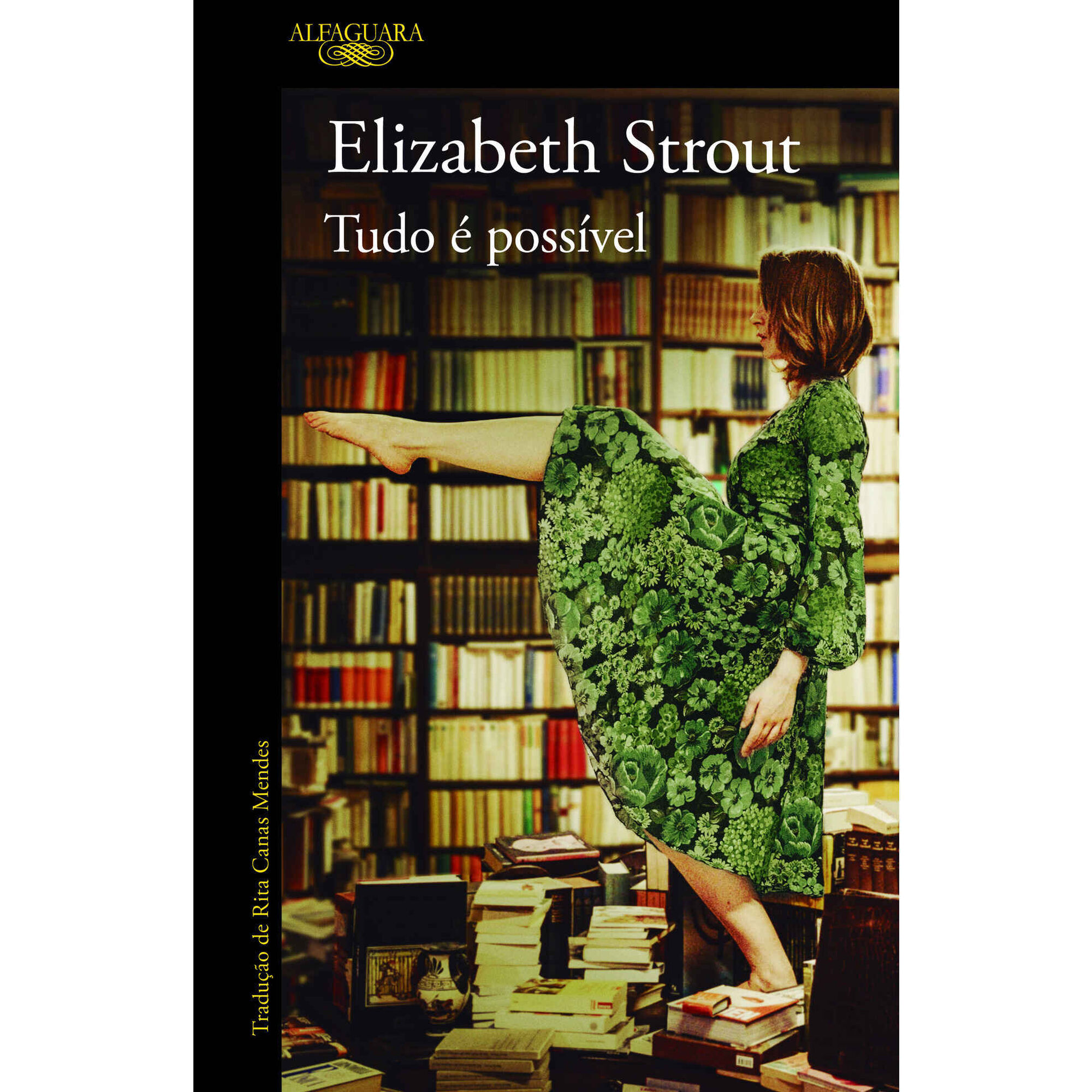 Tudo &eacute; Poss&iacute;vel de Elizabeth Strout