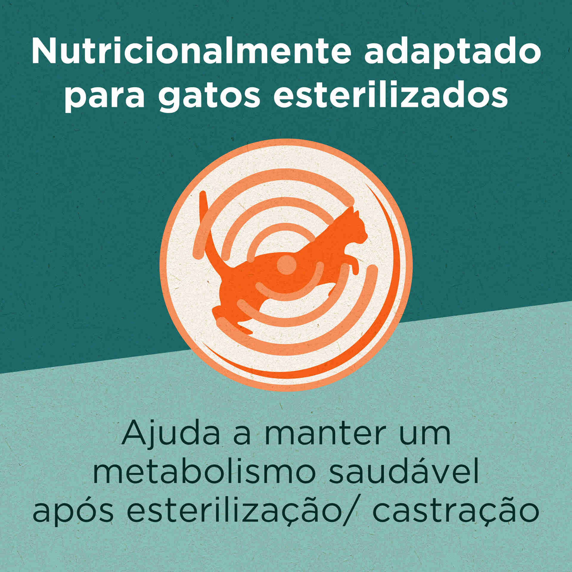 Ração para Gato Adulto Esterilizado Vaca