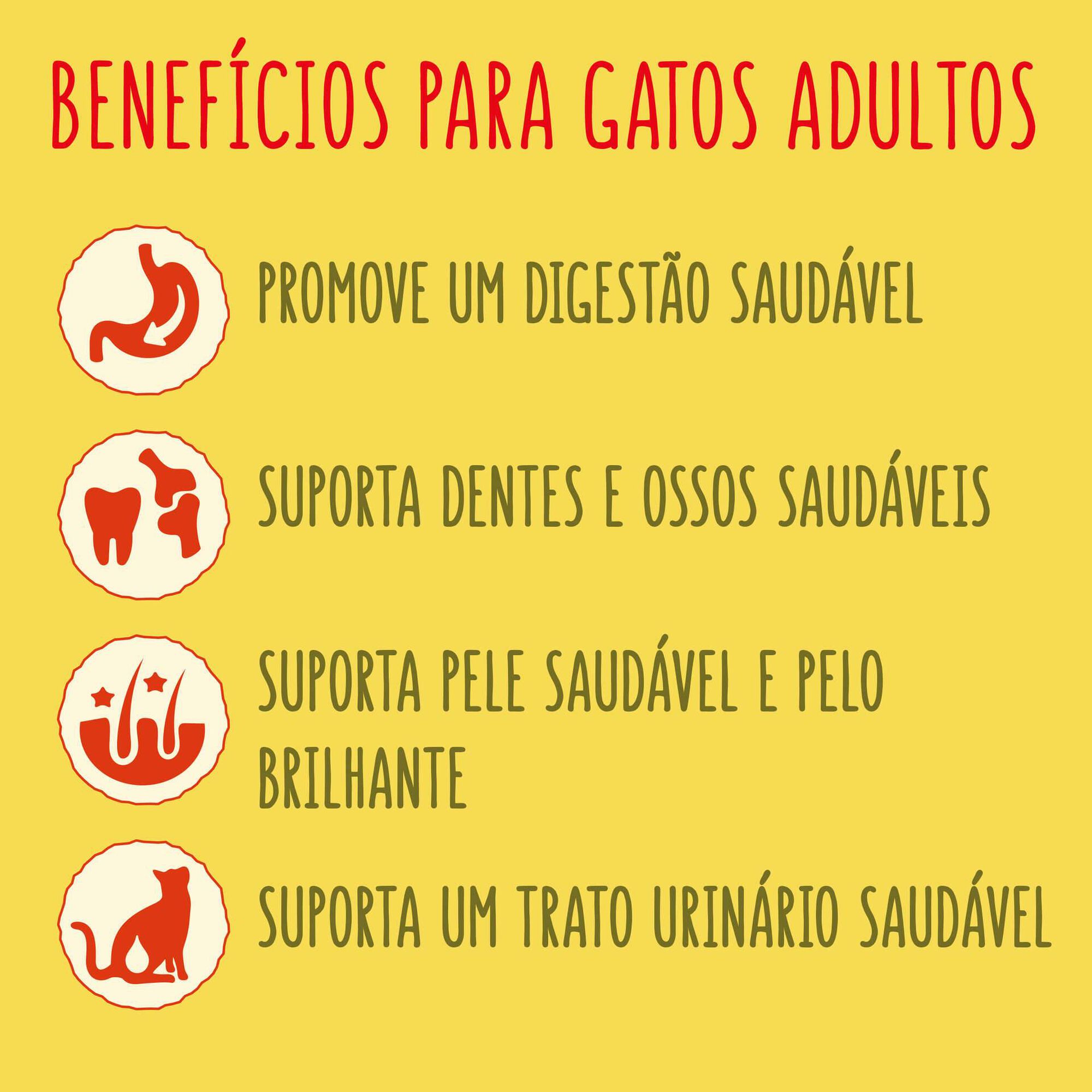 Ra&ccedil;&atilde;o para Gato Adulto Salm&atilde;o Purina Friskies