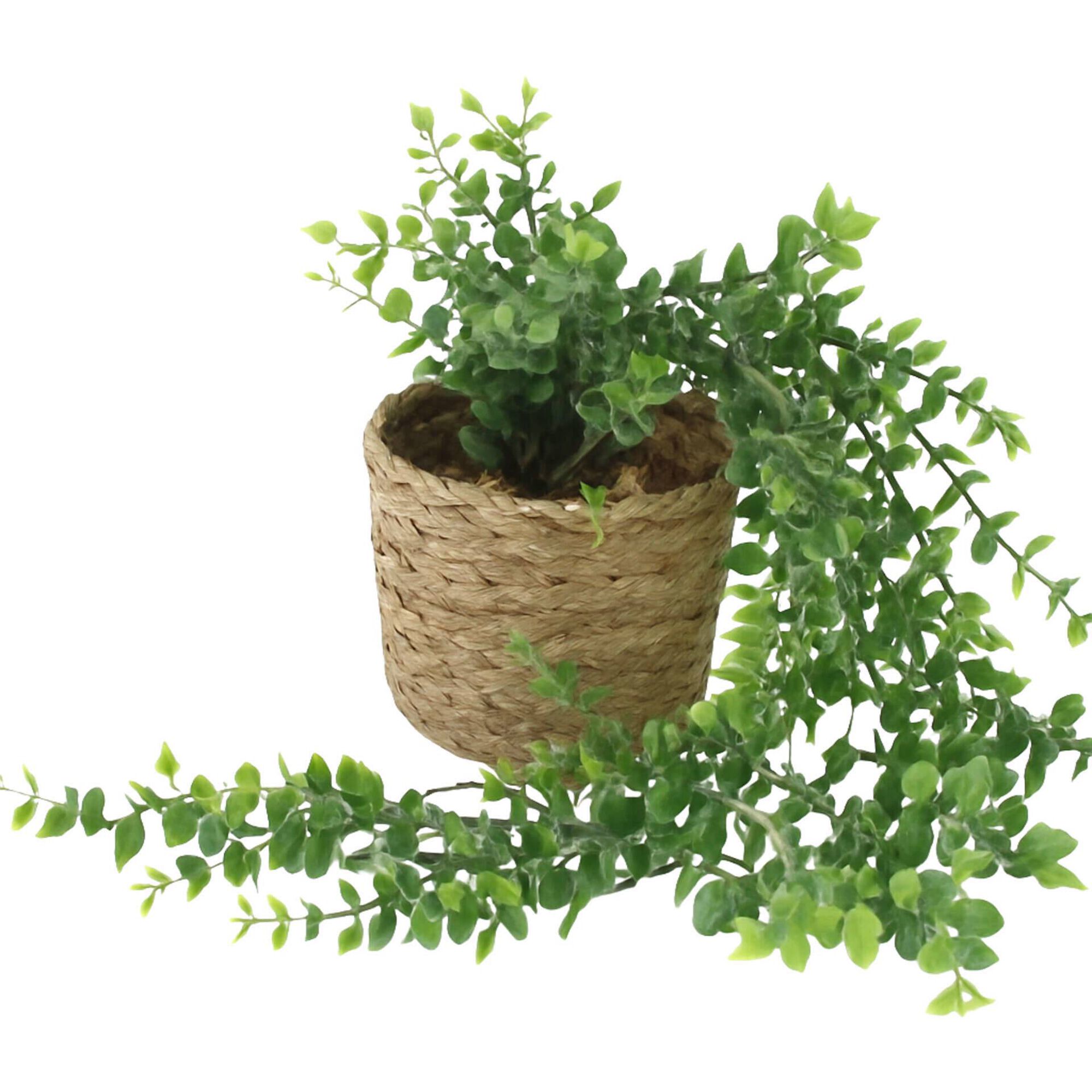 Planta Artificial Pendente em Vaso de Palha Kasa