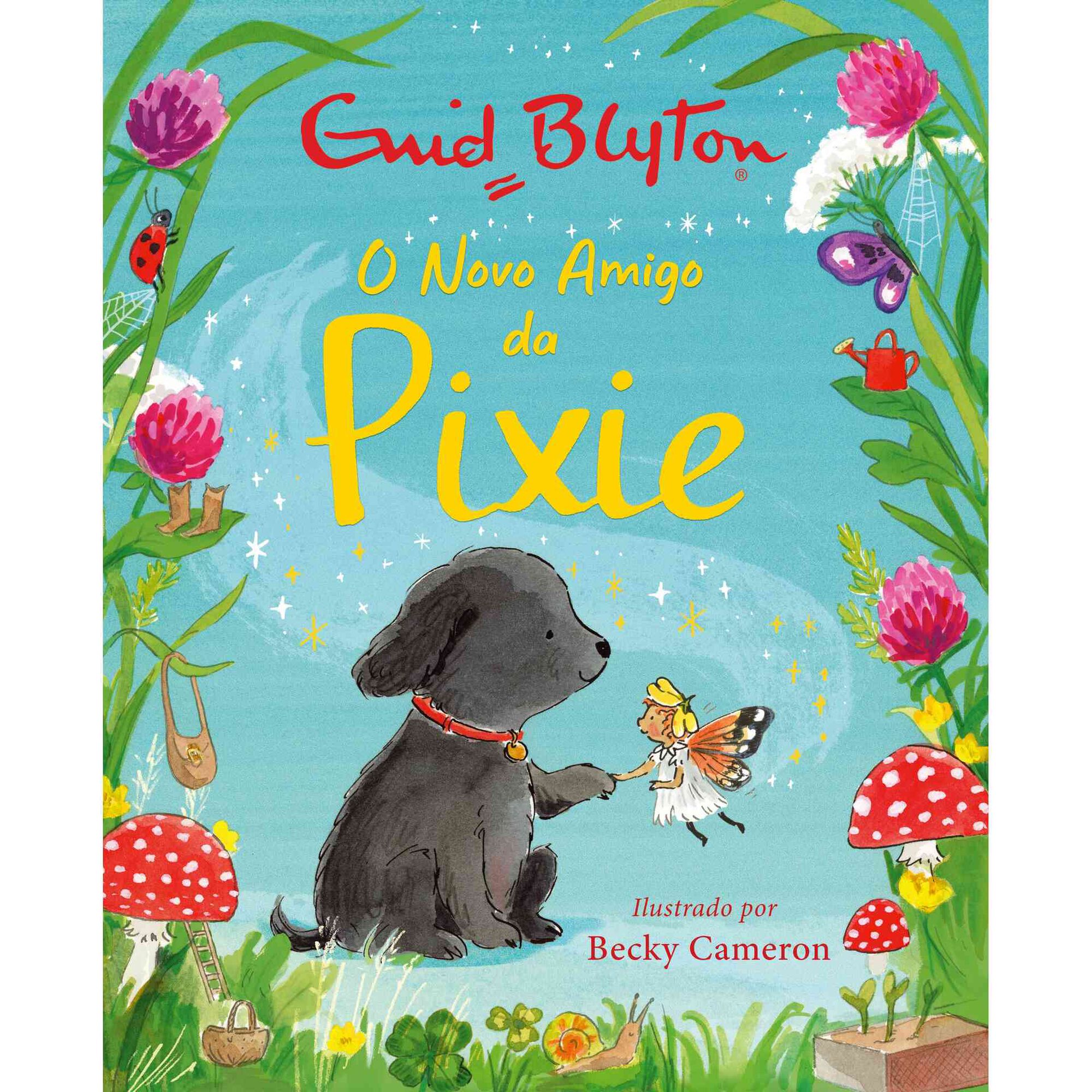 O Novo Amigo da Pixie de Enid Blyton