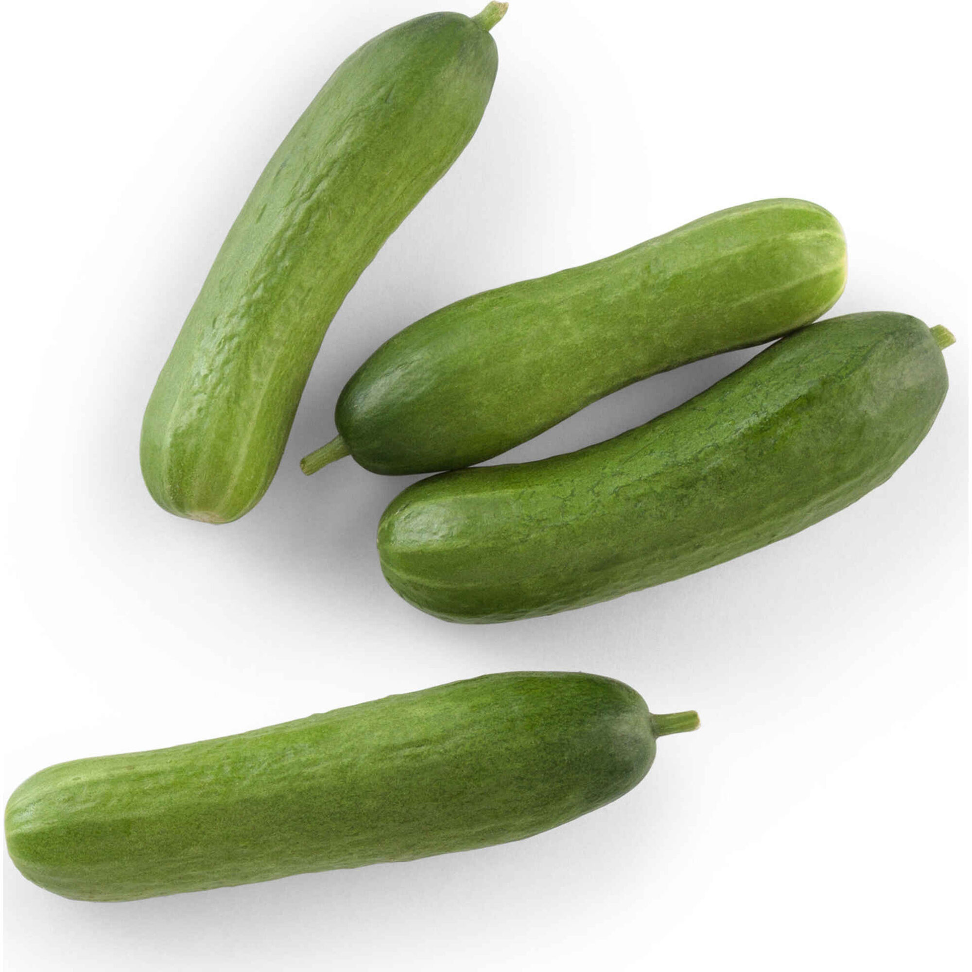 Mini Pepino Biológico Mini Pepino Biológico