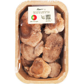 Cogumelo Shitake Nam