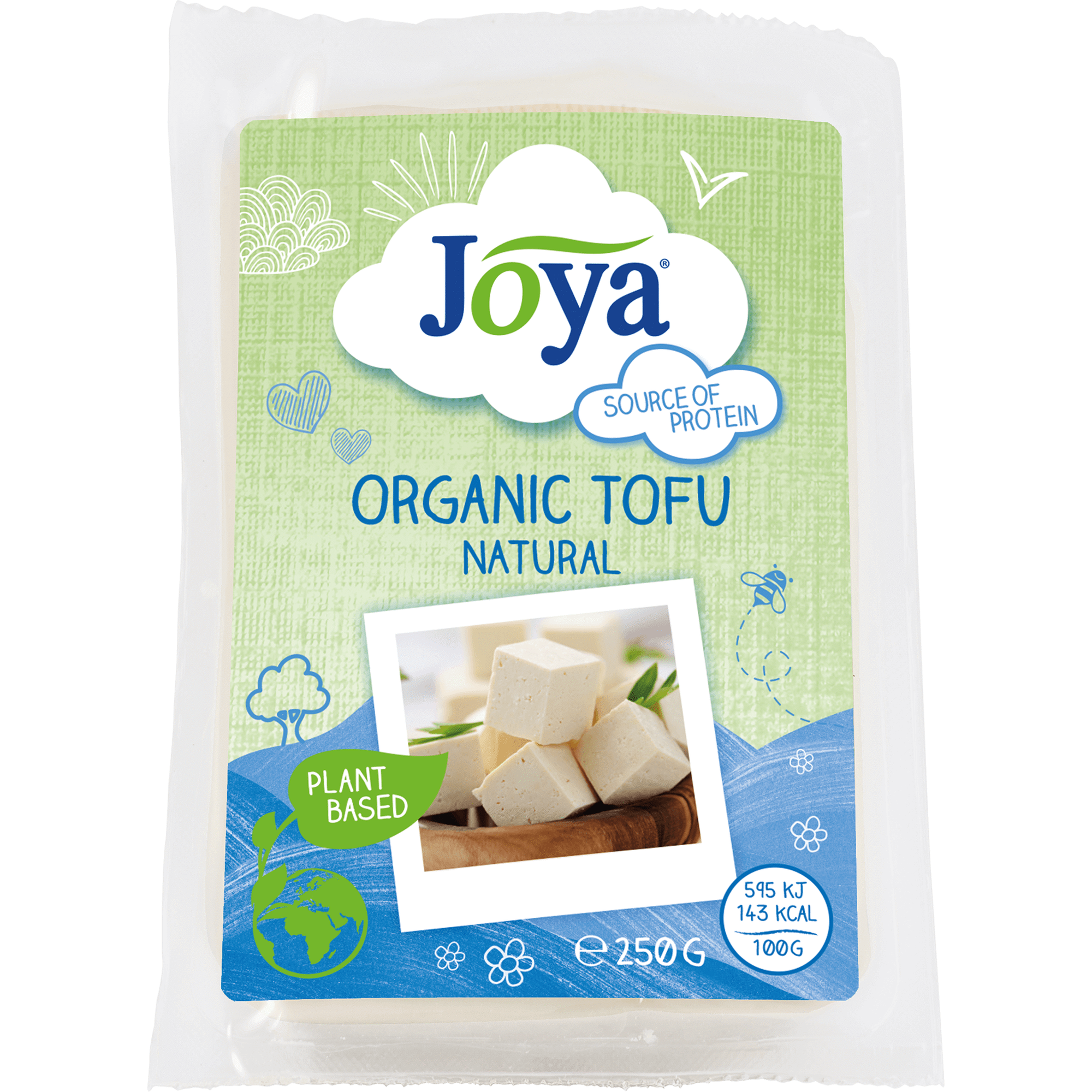 Tofu Natural