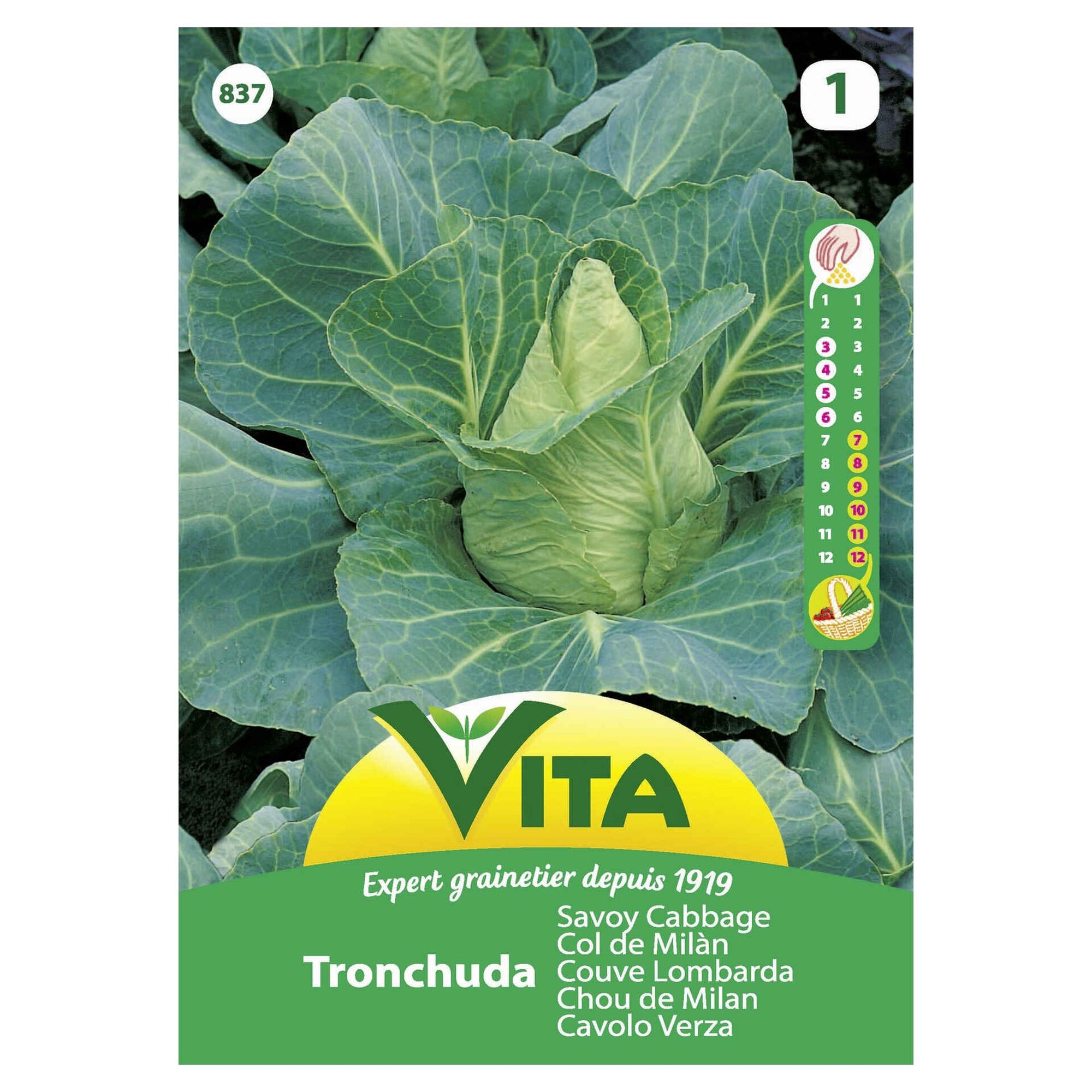 Sementes Hortícolas Couve Tronchuda Sementes Hortícolas Couve Tronchuda