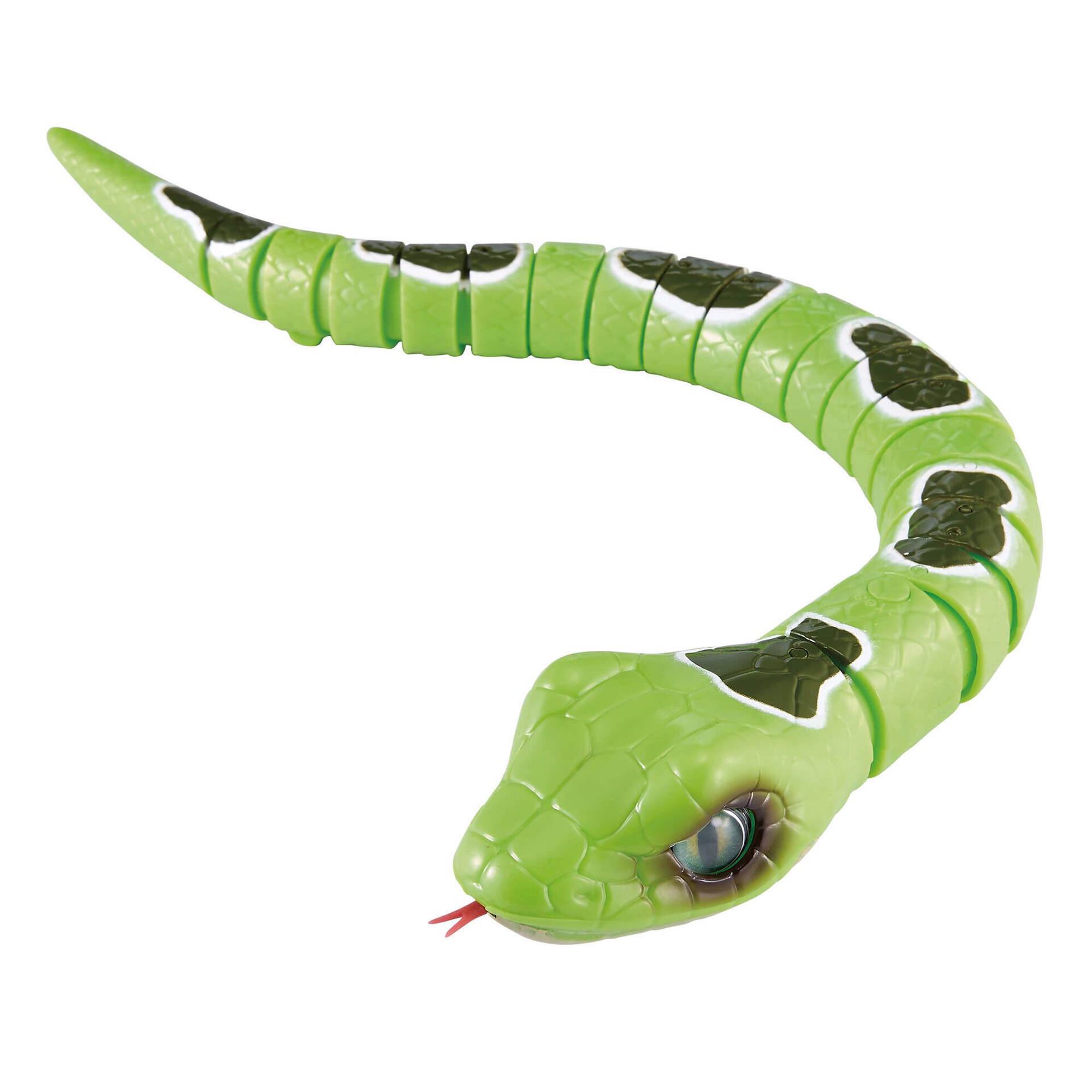 Cobra/Lagarto (vários modelos) Cobra/Lagarto (vários modelos)