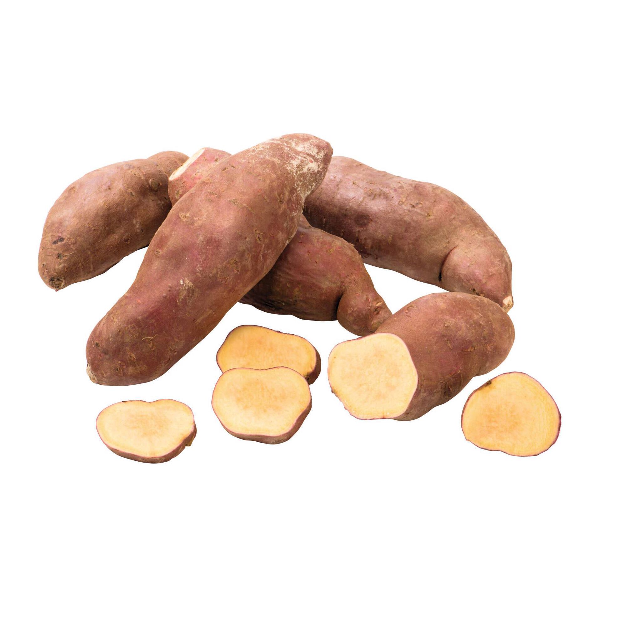 Batata Doce Continente