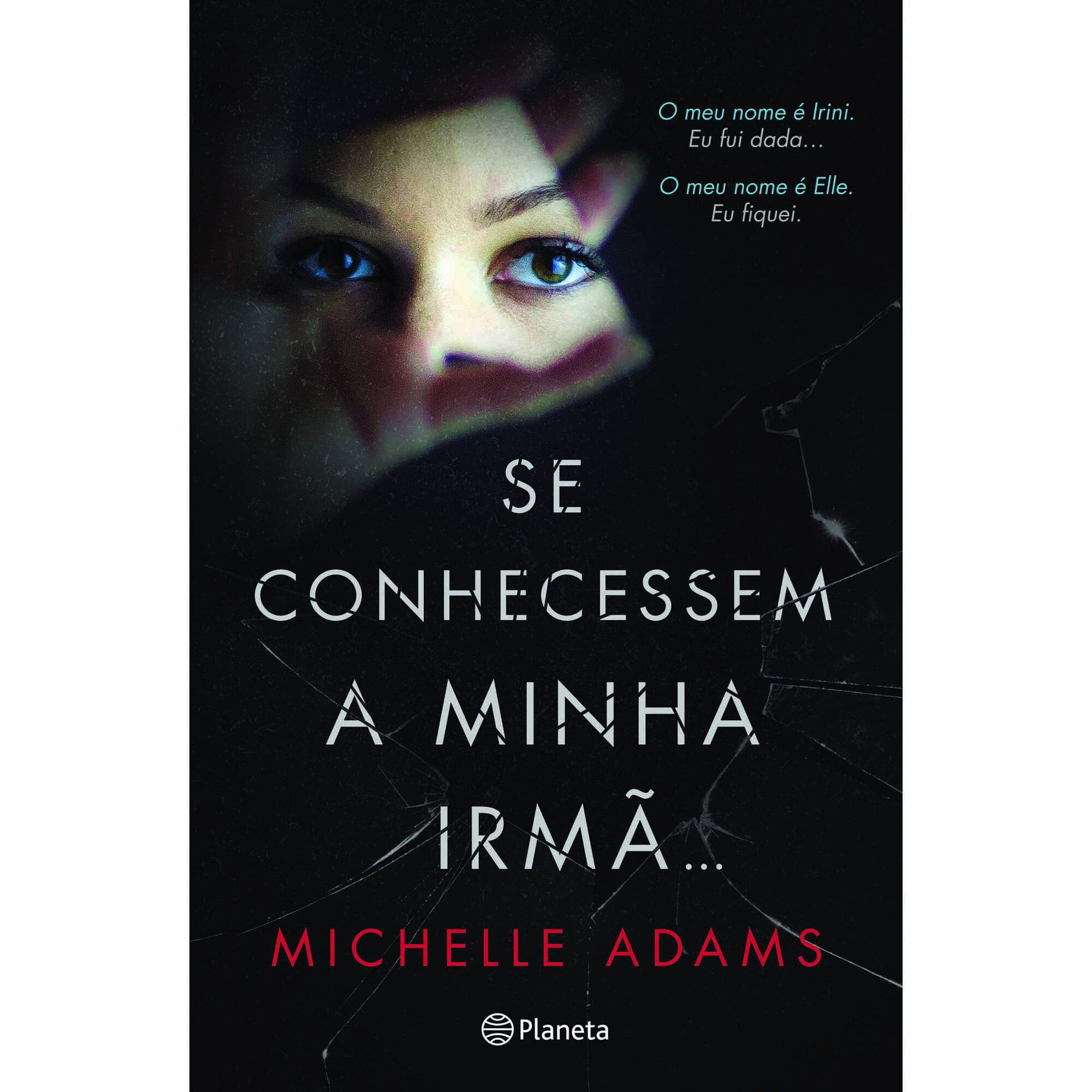 Se Conhecessem a Minha Irm&atilde;... de Michelle Adams