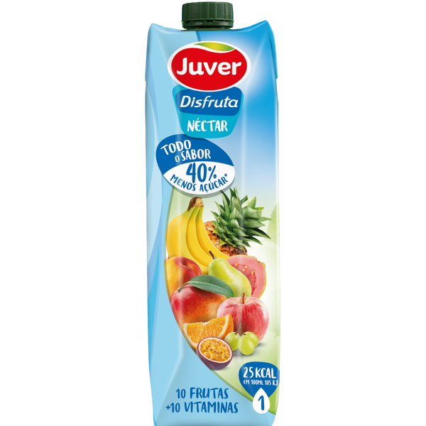 Néctar 10 Frutas e Vitaminas Juver