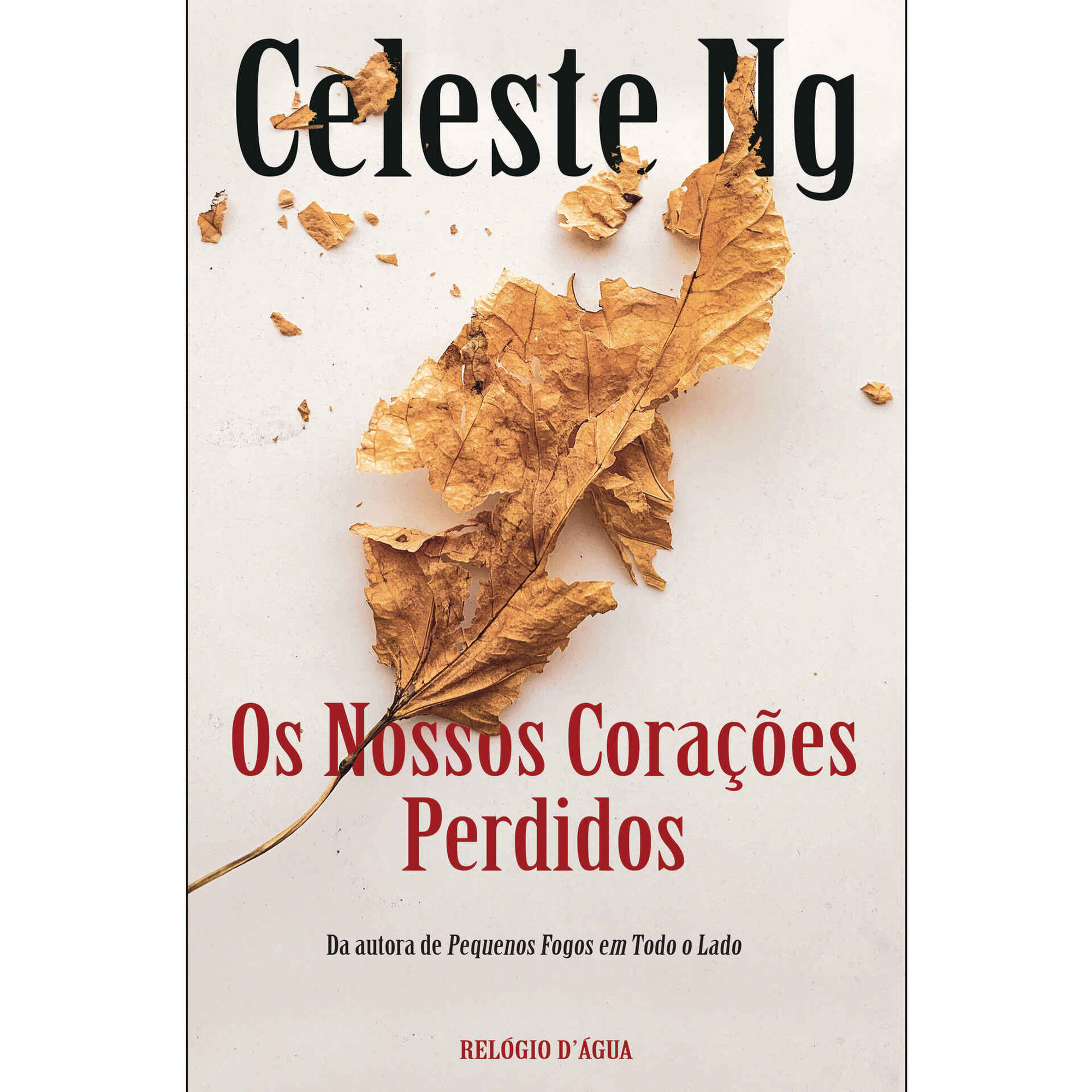 Os Nossos Corações Perdidos