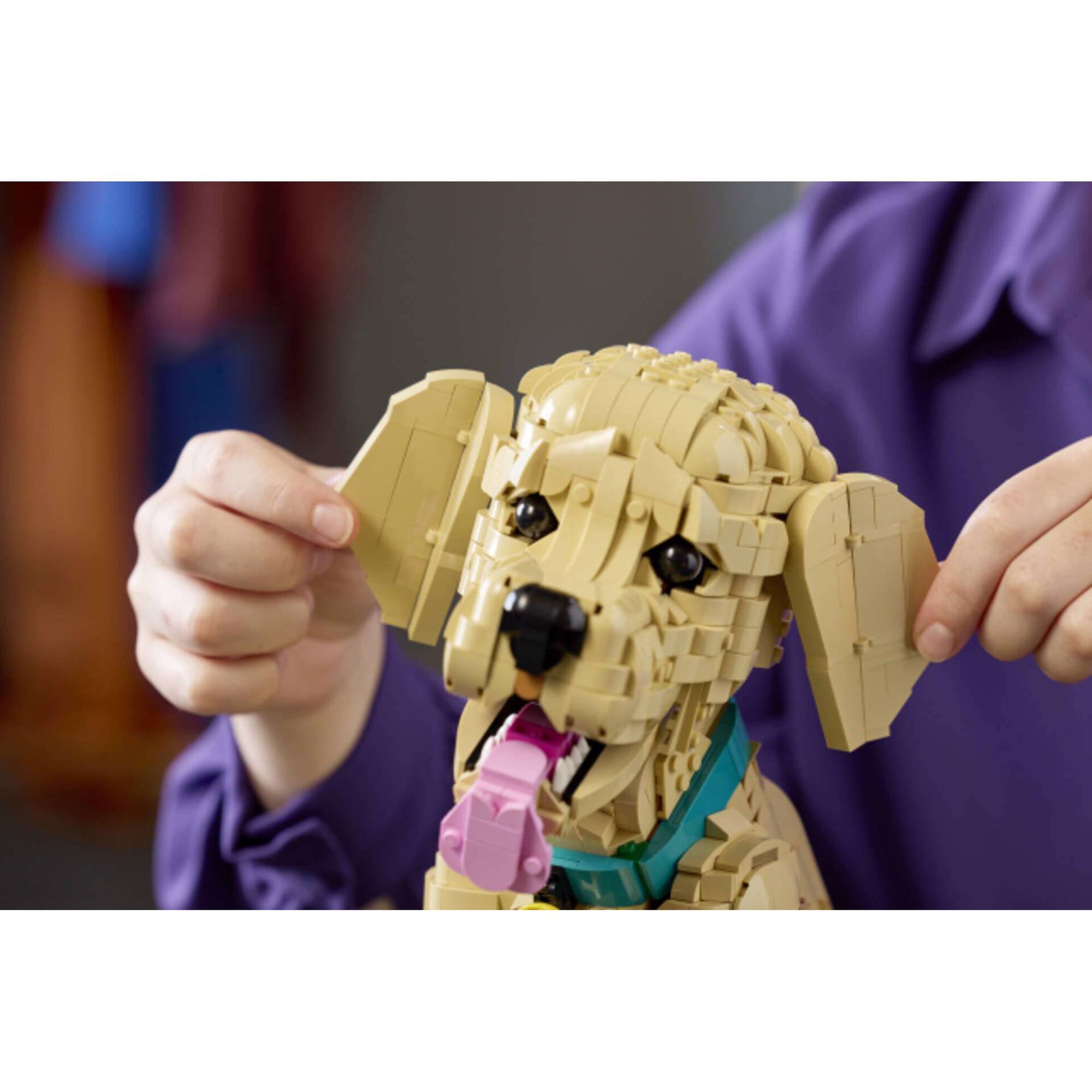 LEGO Icons - Cachorrinho Golden Retriever - 11384