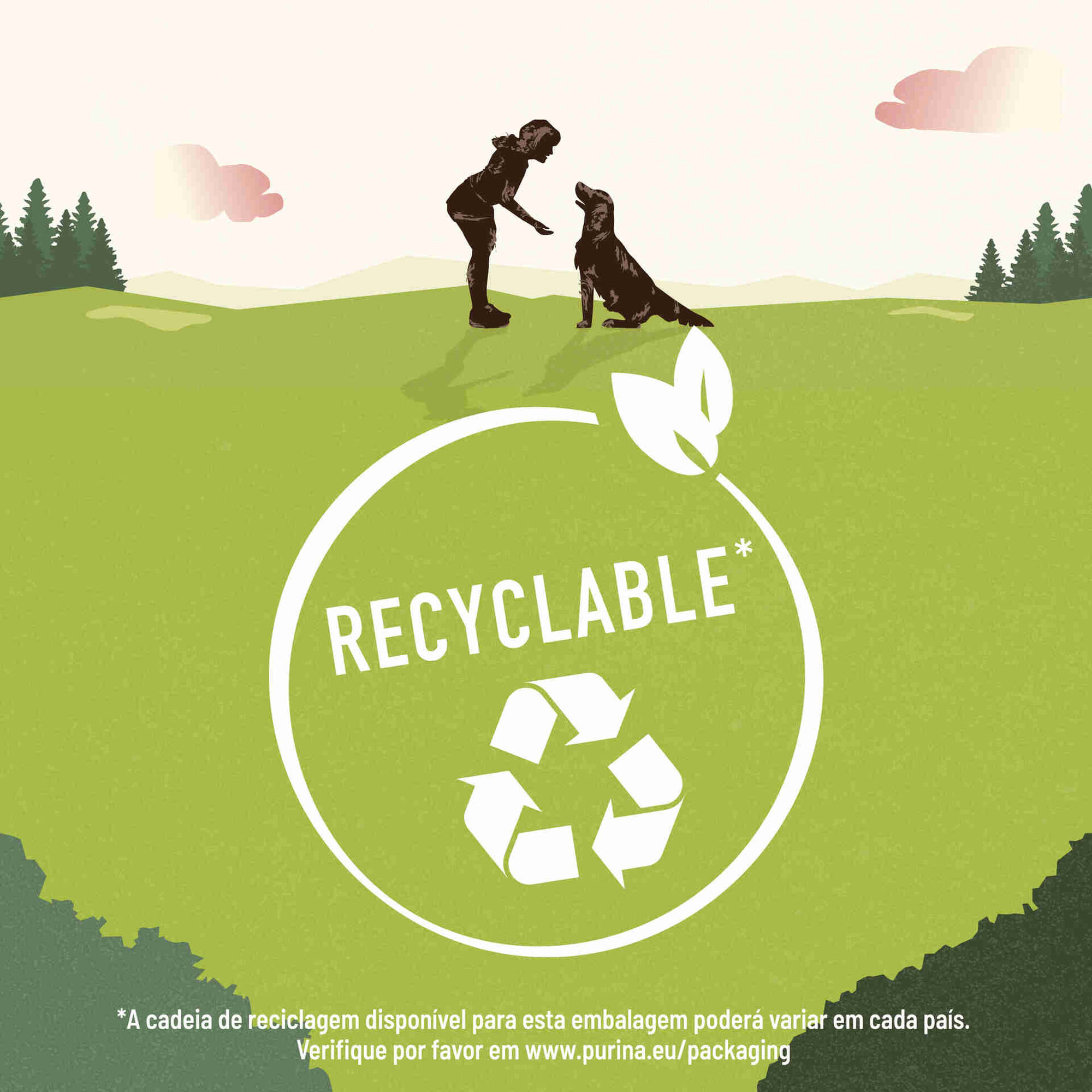 Snack para C&atilde;o Treino Salm&atilde;o Purina Adventuros