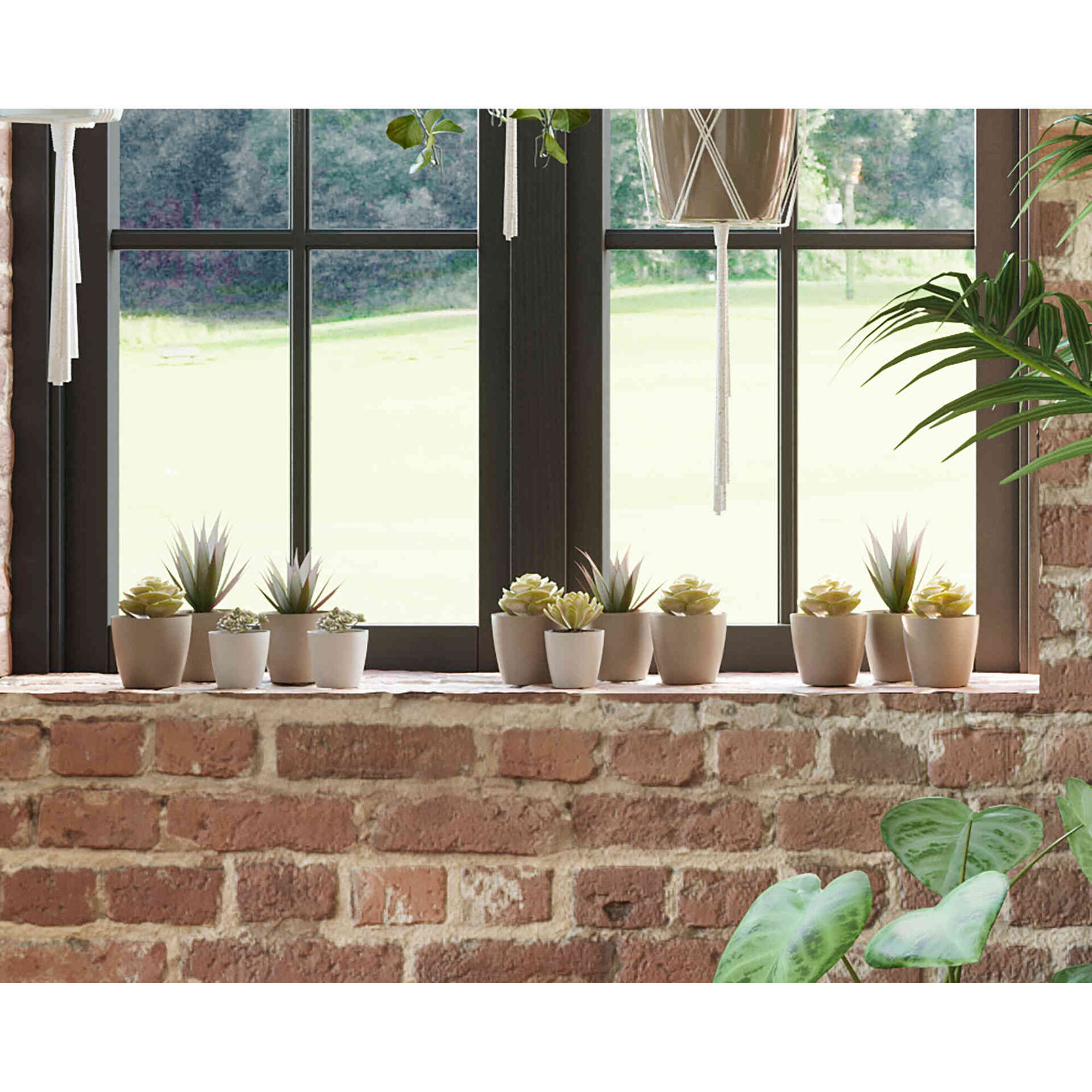 Vaso Redondo Plástico 12cm Antracite