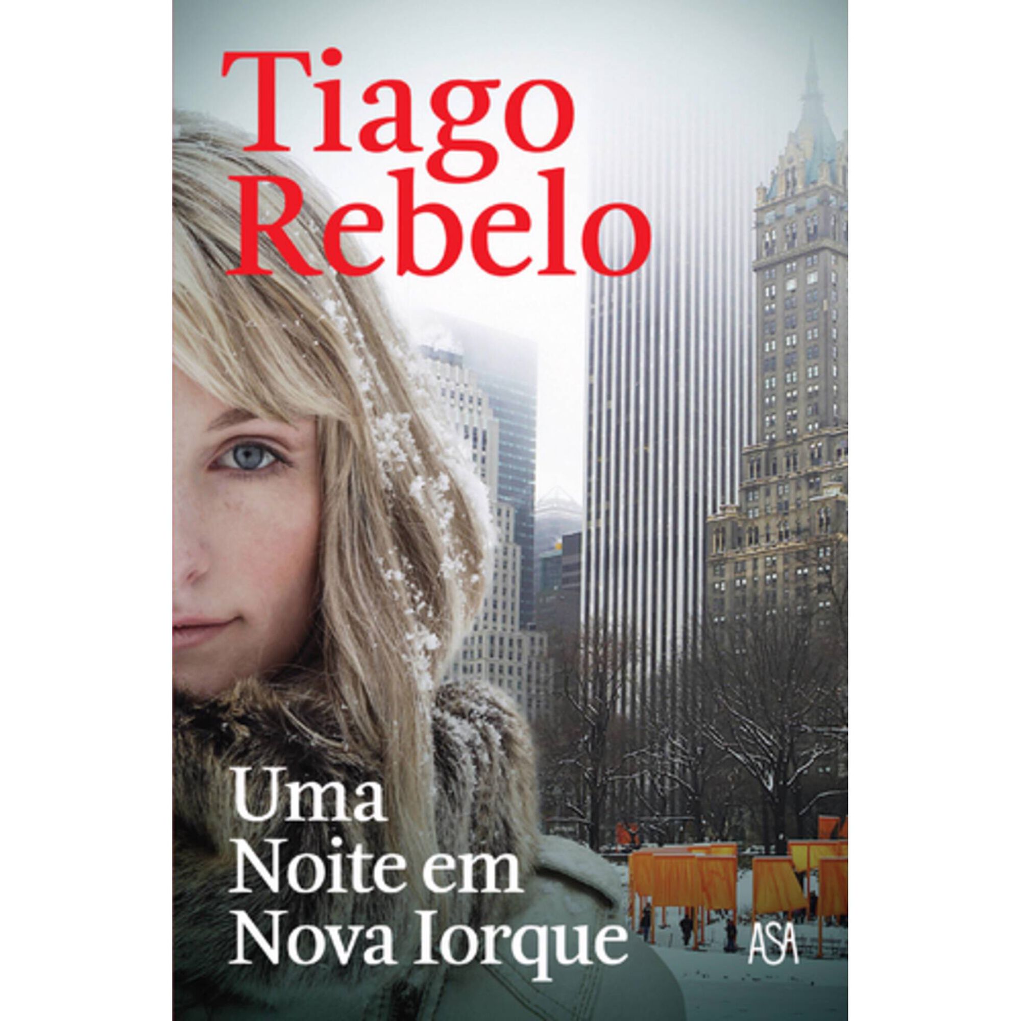 Uma Noite em Nova Iorque de Tiago Rebelo