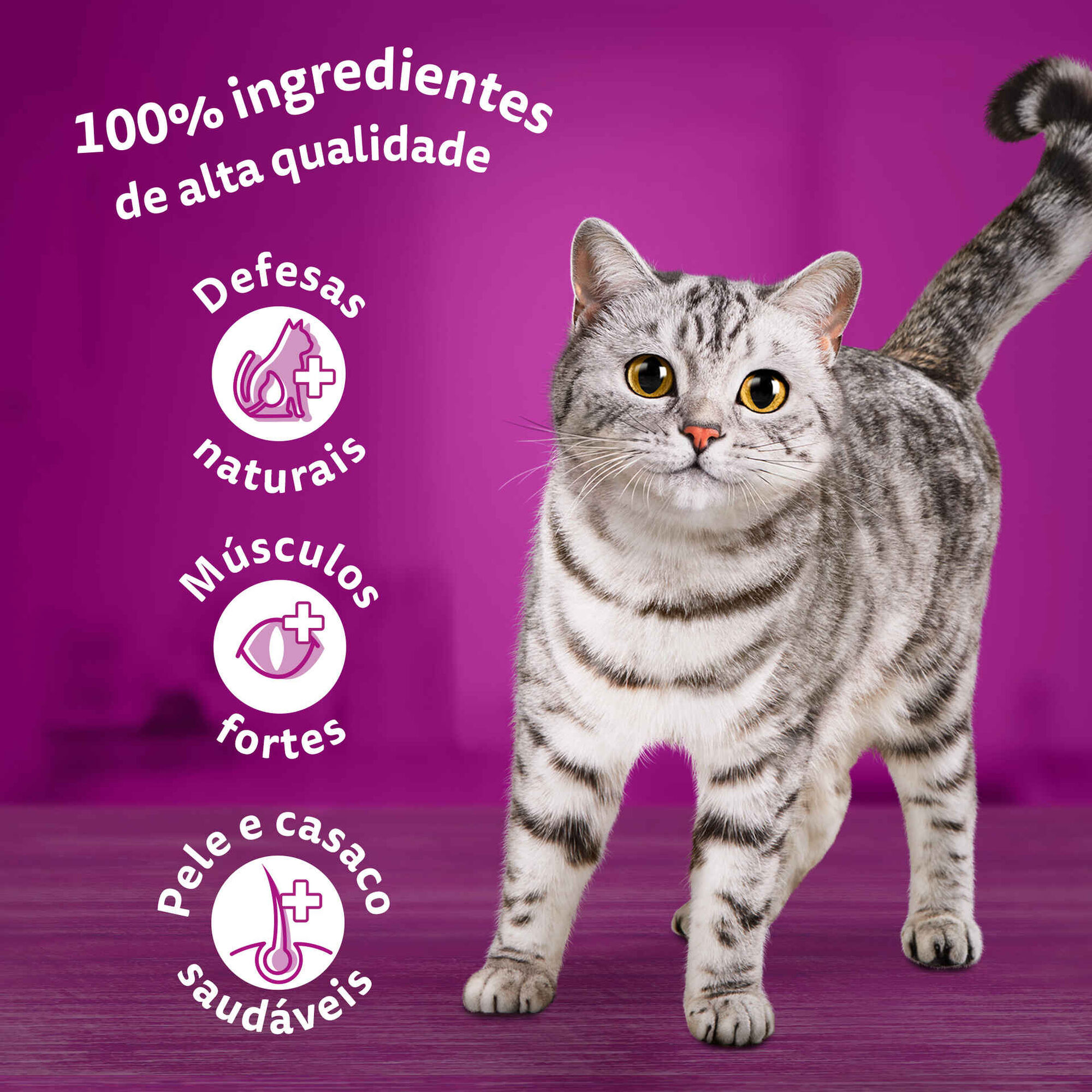 Ra&ccedil;&atilde;o para Gato Adulto Vaca Whiskas