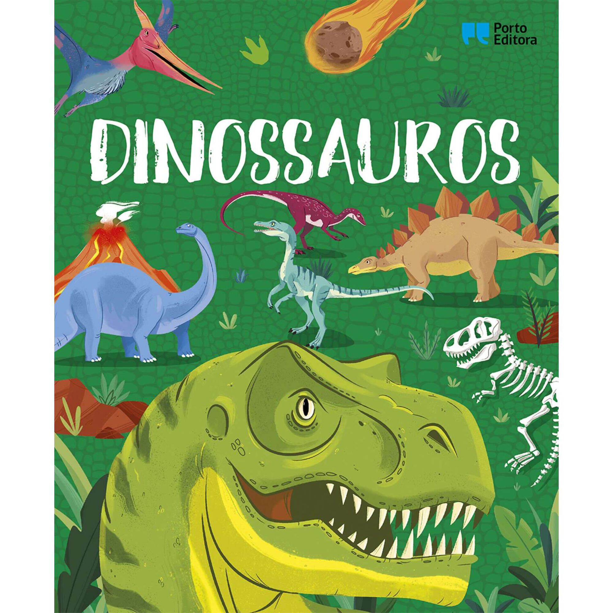 Enciclopédia dos Curiosos - Dinossauros