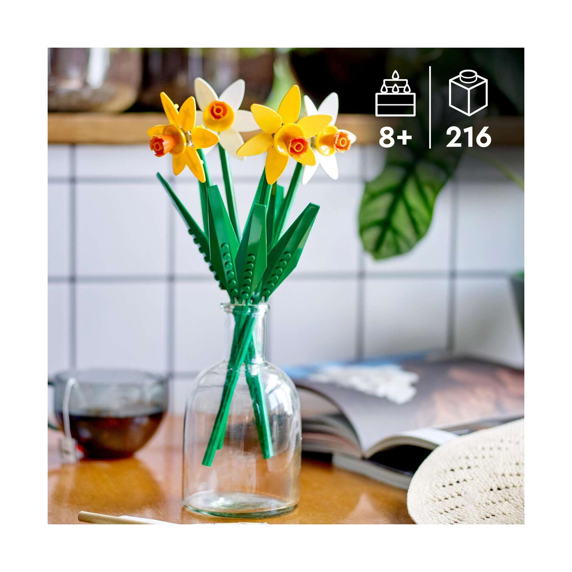 Narcisos - 40747