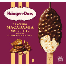 Gelado Chocolate de Leite e Noz Macad&acirc;mia H&auml;agen-Dazs
