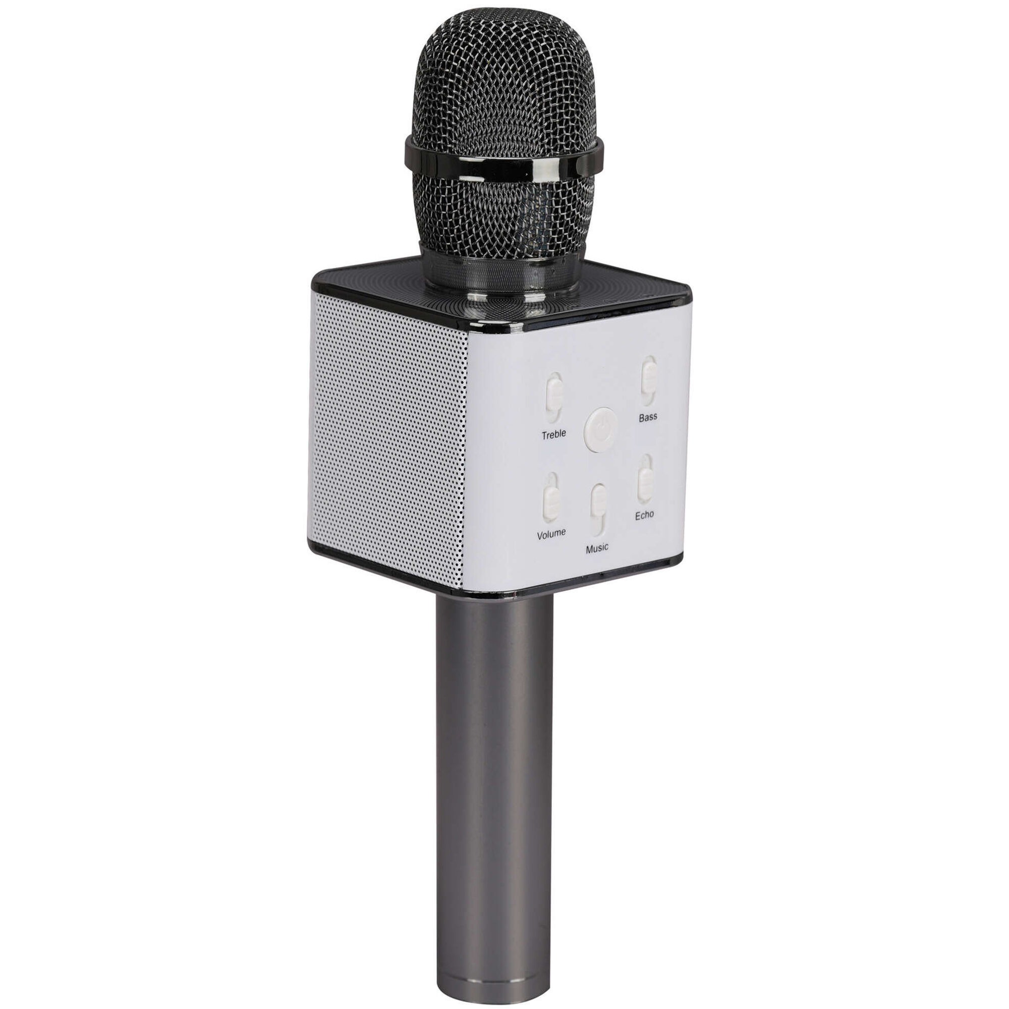 Microfone sem Fios com Coluna Elite