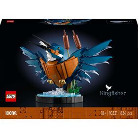 Martim Pescador - 10331