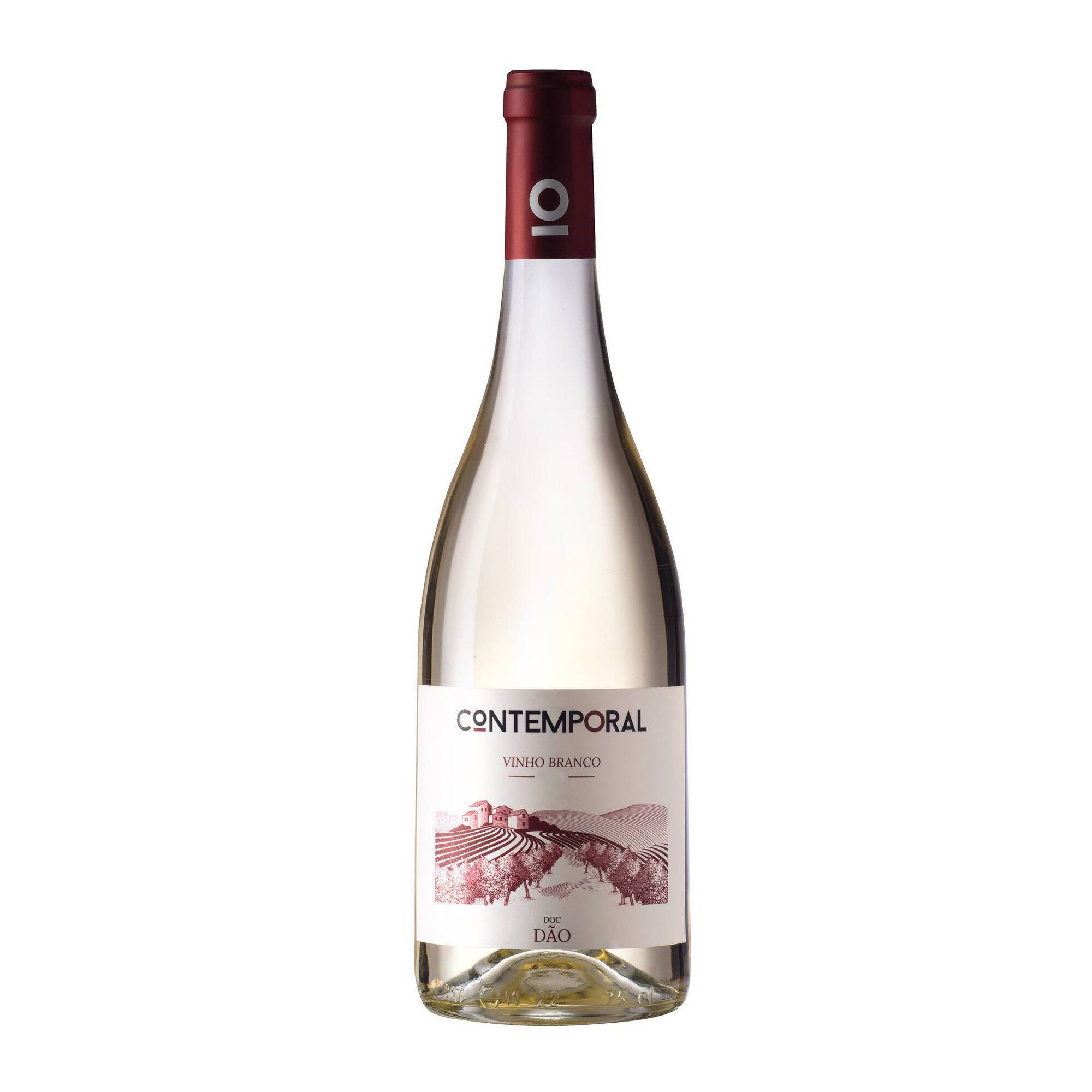 Contemporal Dão Vinho Branco