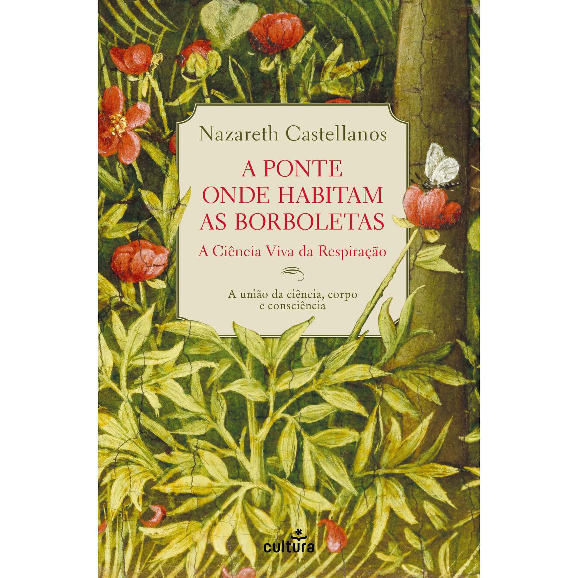 A Ponte Onde Habitam as Borboletas de Nazareth Castellanos