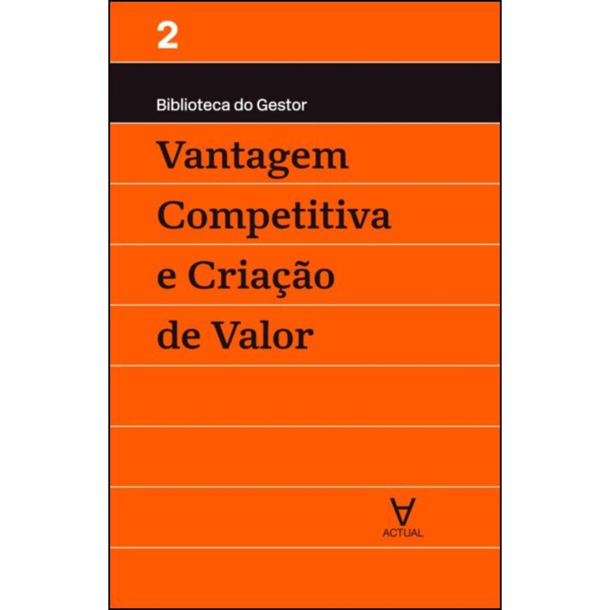 Vantagem Competitiva e Cria&ccedil;&atilde;o de Valor de Manuel Ma&ccedil;&atilde;es